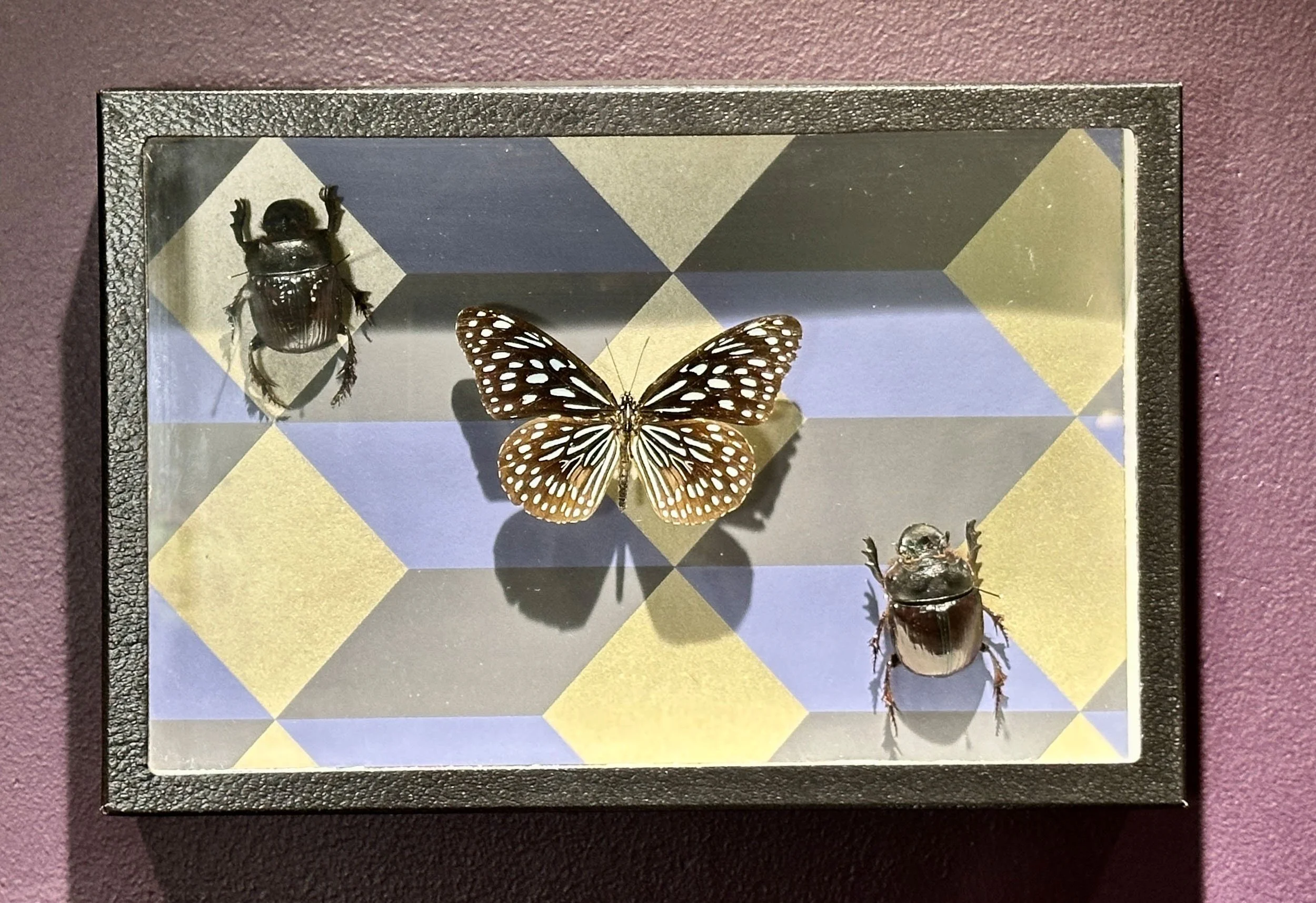 Im Buggin Out - 51.jpg