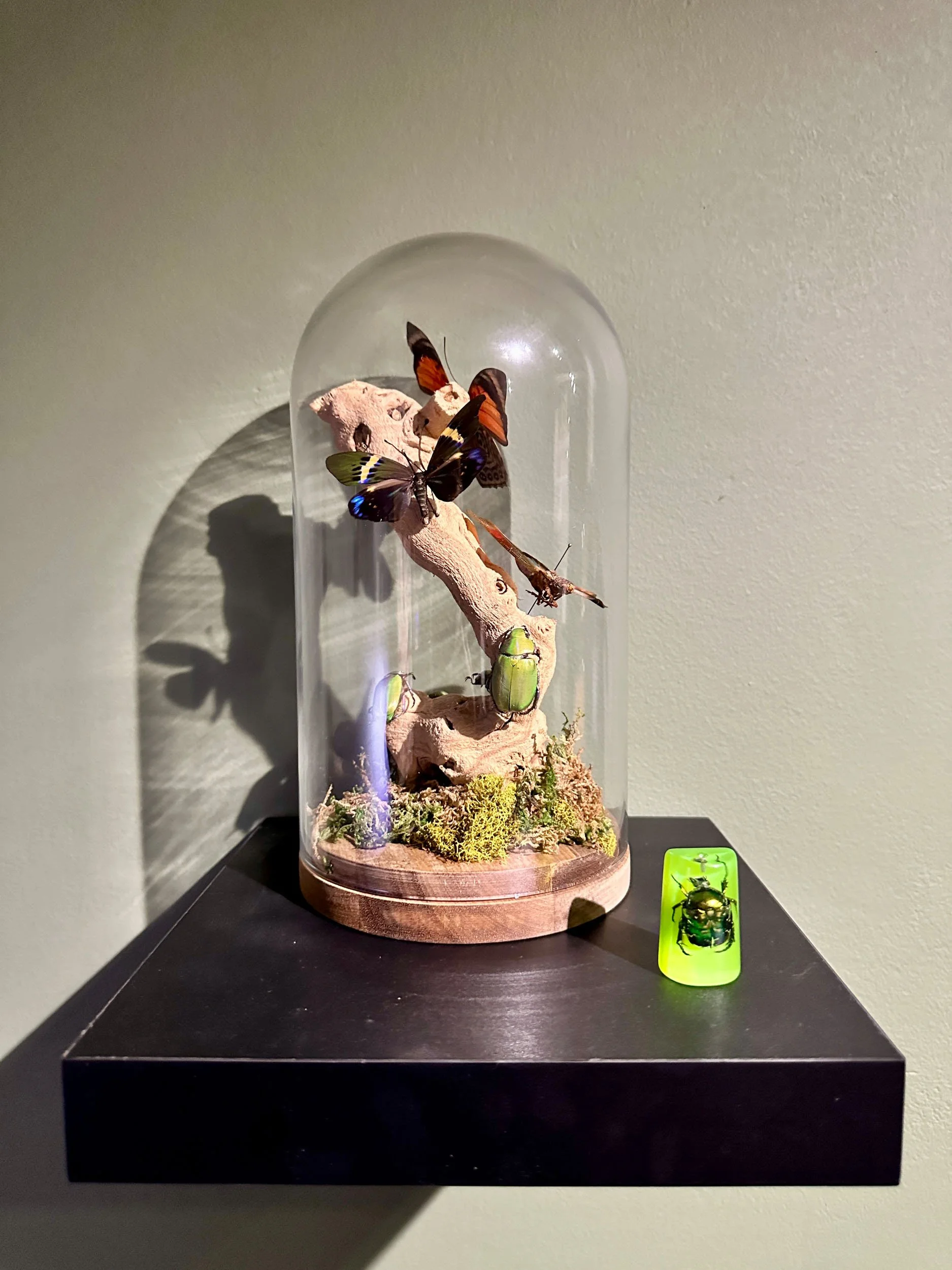 Im Buggin Out - 28.jpg