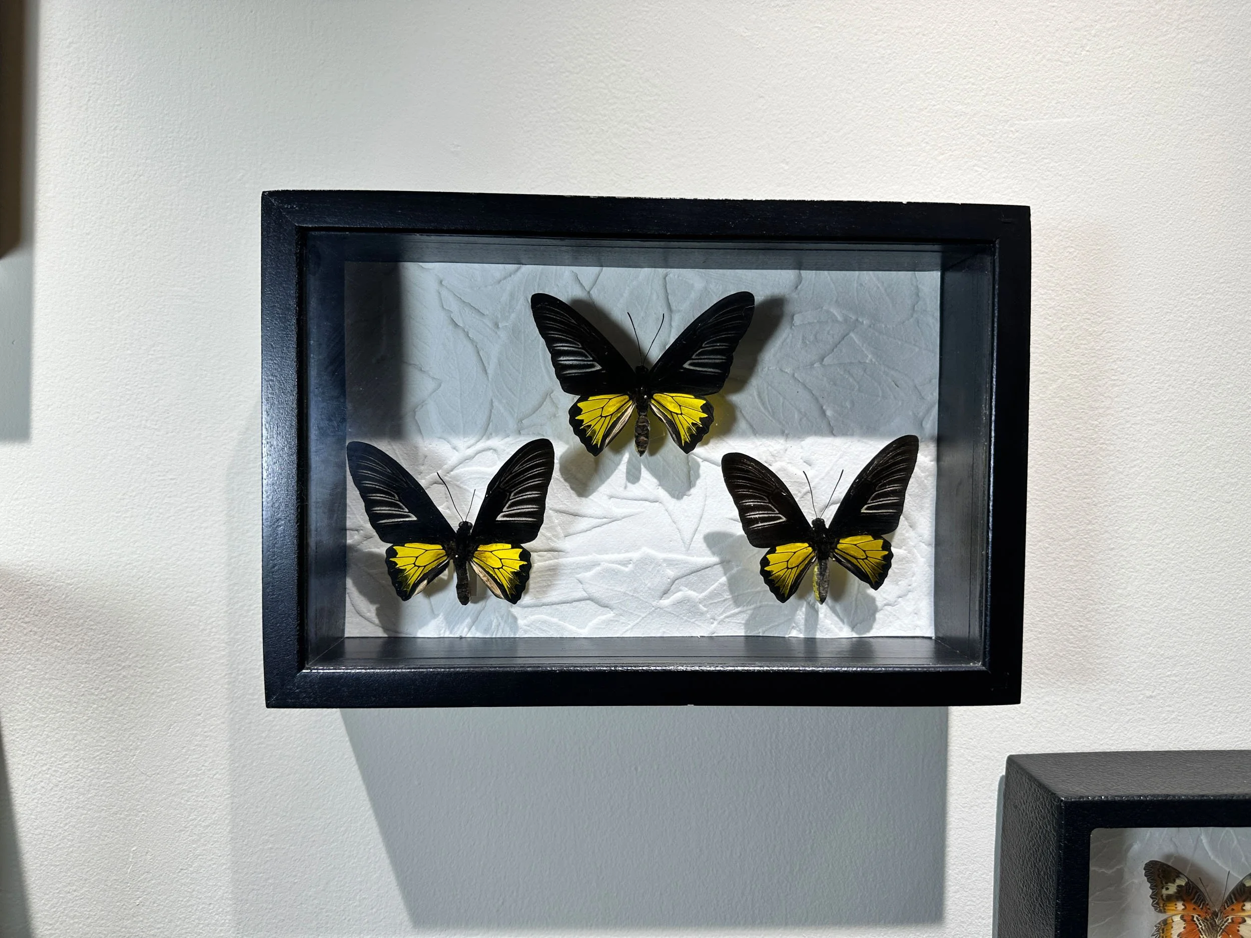 Im Buggin Out - 11.jpg