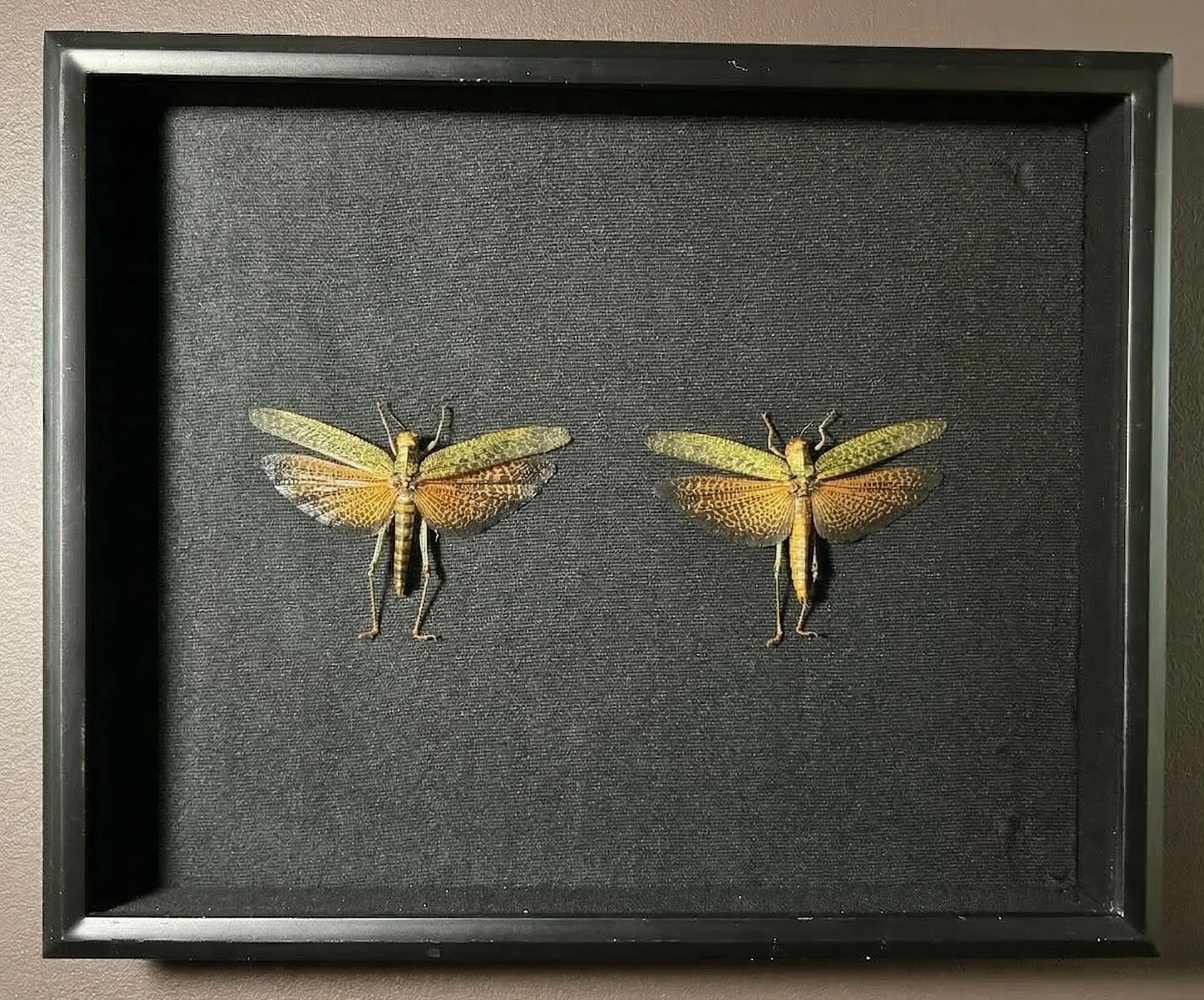 Im Buggin Out - 1.jpg