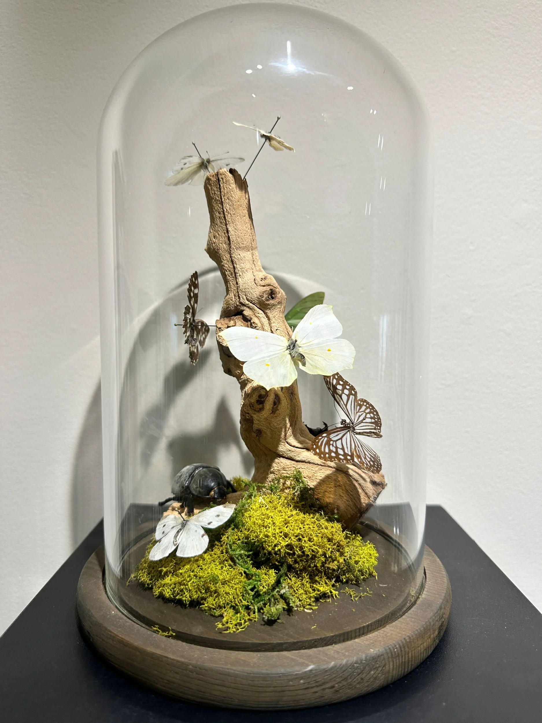 Im Buggin Out - 85.jpg