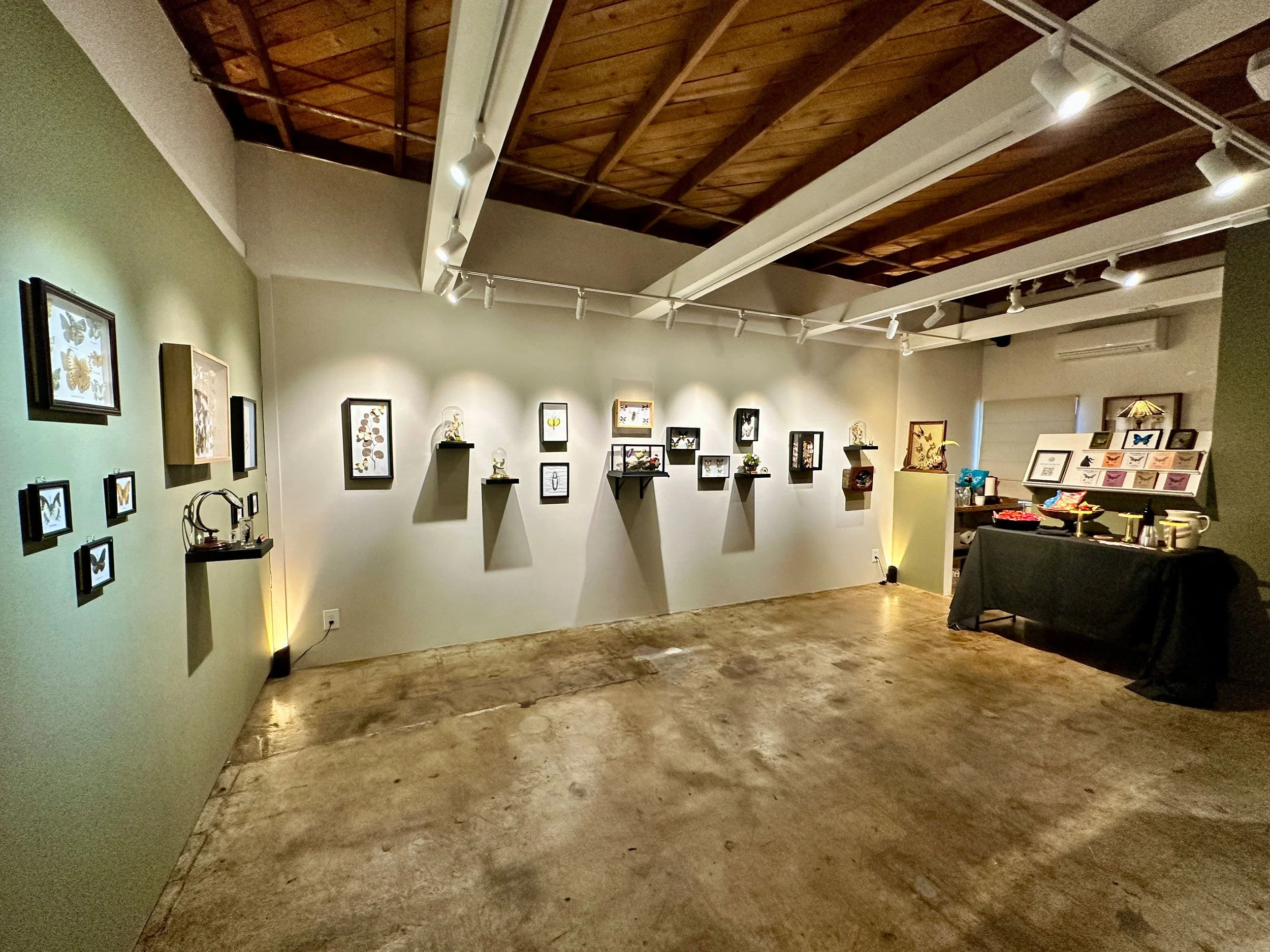 Im Buggin Out - 62.jpg