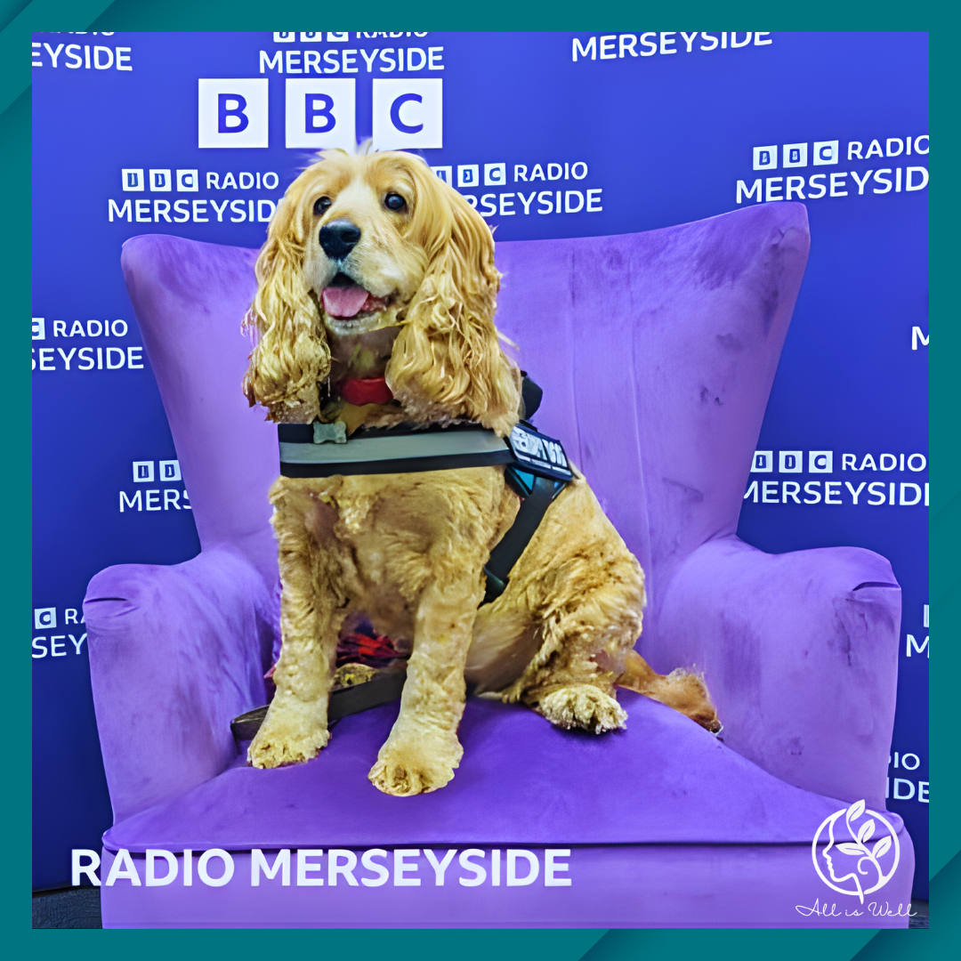 BBC Radio Merseyside Interview