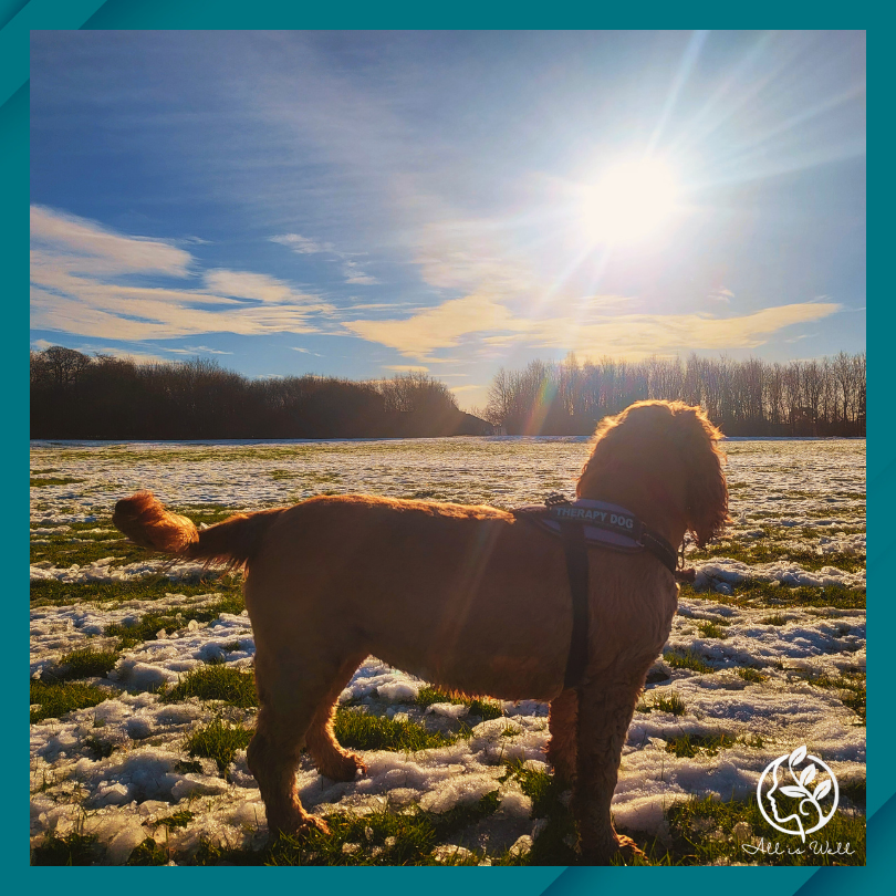 This is NOT a New Year’s Resolution Post…