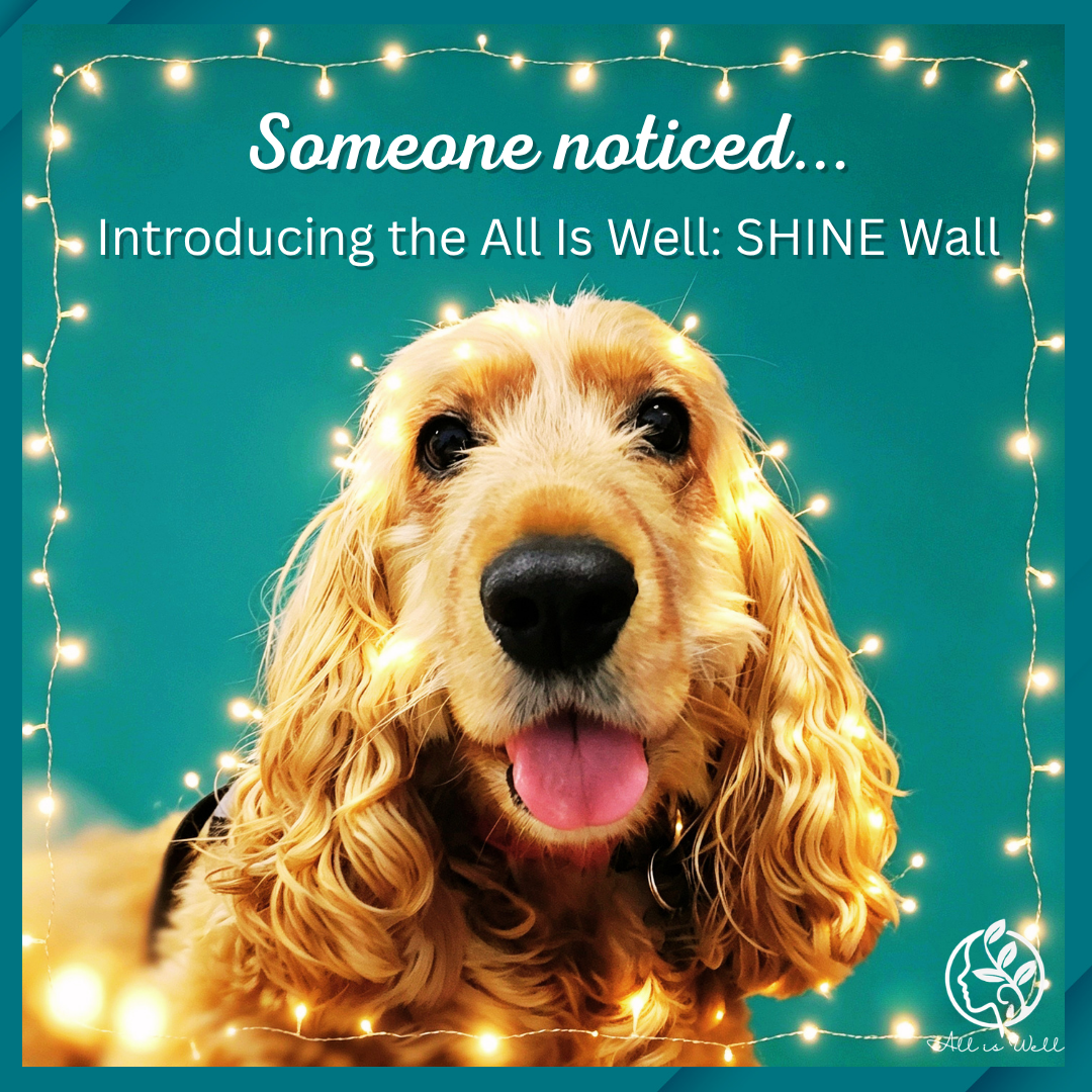 All Is Well: SHINE - Celebrating the People Who Make a Difference