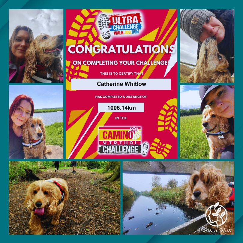 Catherine walking with therapy dogs Lola during her 1000 kilometre walking challenge All is Well Approach