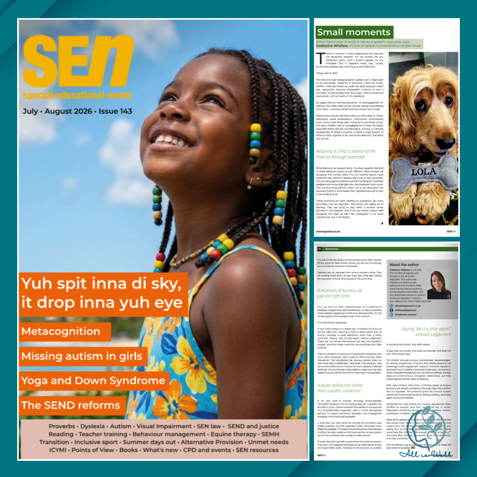 SEN magazine cover and article snapshots