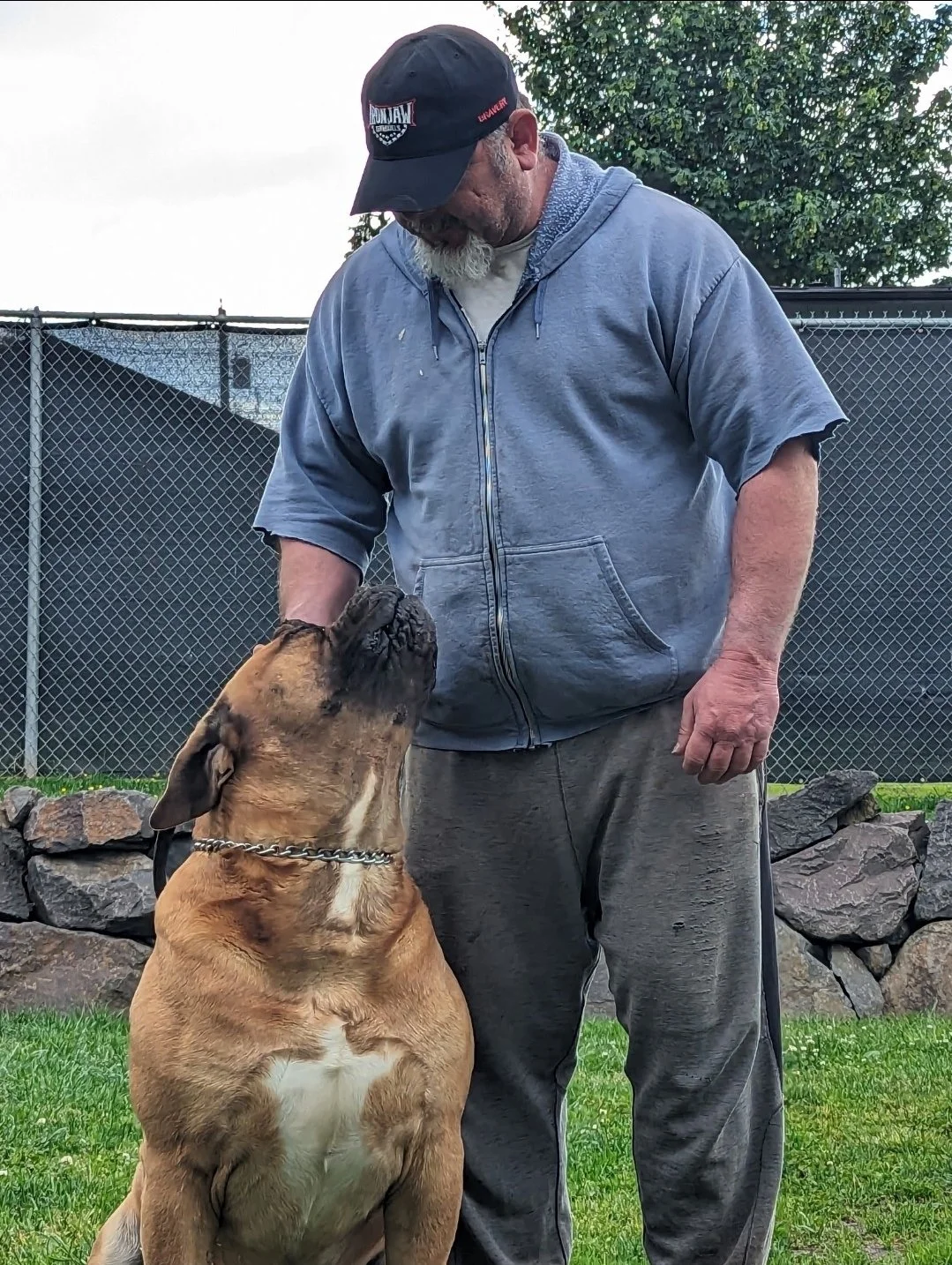 Man in gray hoodie and black cap with red lettering stands next to brown dog, both looking at each other, in a grassy outdoor area with a chain-link fence and rocks in the background.