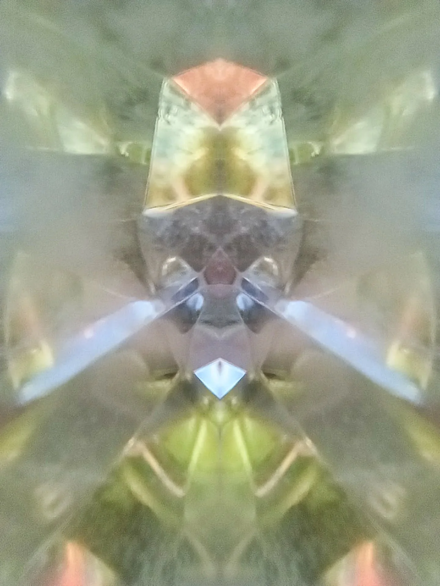 (picture inside quartz crystal, mirrored)

Dream Guardian #1 
He who waits with color in his breath

He stands at the bend in the dream, 
where the hallway forgets its shape 
and the air begins to shimmer.

His fez is stitched with forgotten flags, 
