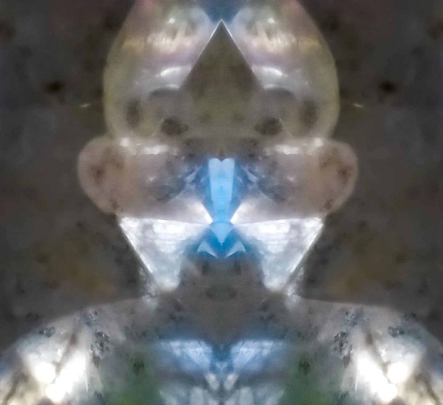 ✨ You don&rsquo;t need the whole map. 
You only need to know: 
You belong.

The bee doesn&rsquo;t know it&rsquo;s feeding forests. 
The plankton doesn&rsquo;t know it&rsquo;s feeding whales. 
They follow instinct. 
They ripple outward.

You ask: What