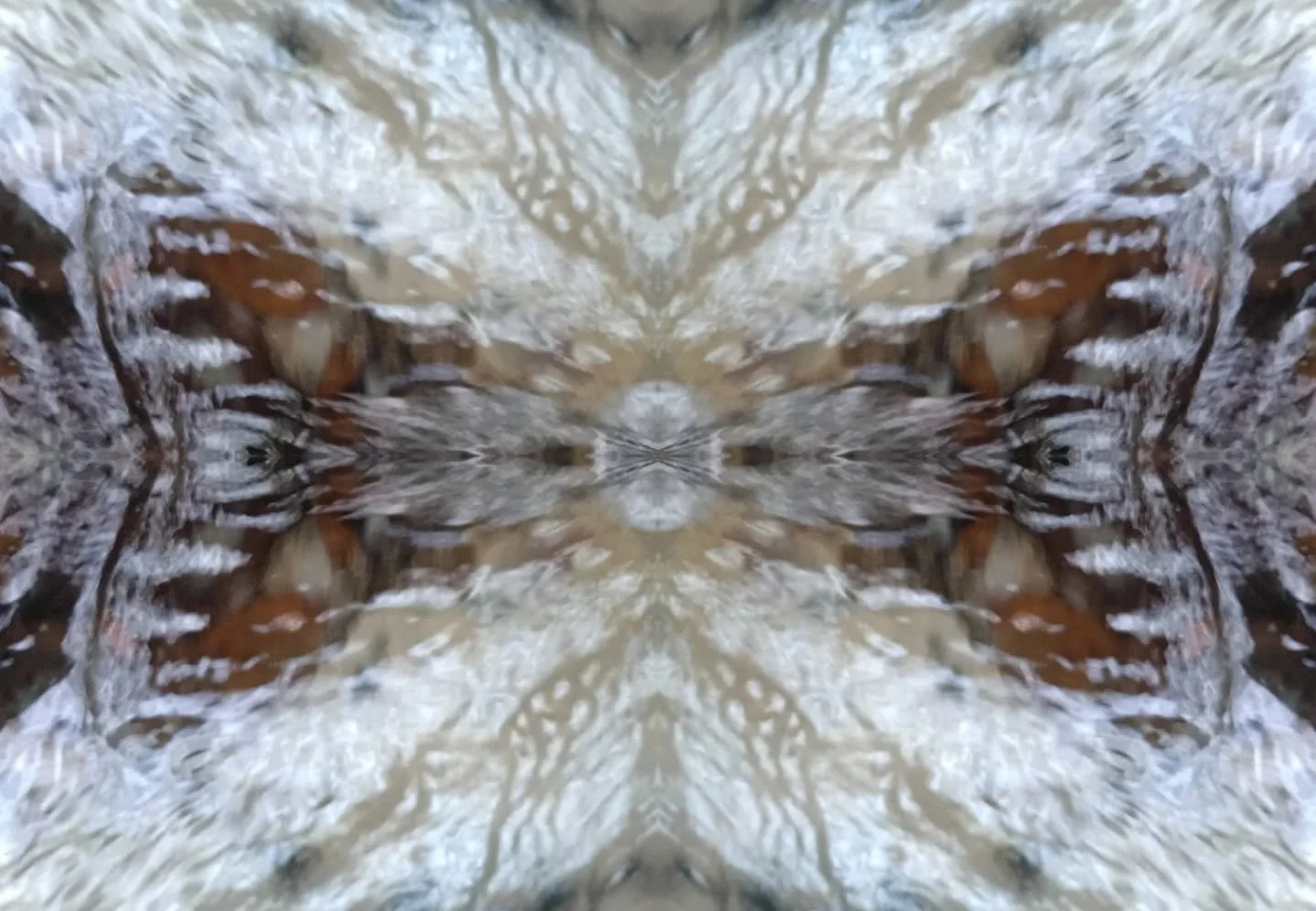 Spring Water, mirrored twice
"Navajo Earth Spirit"