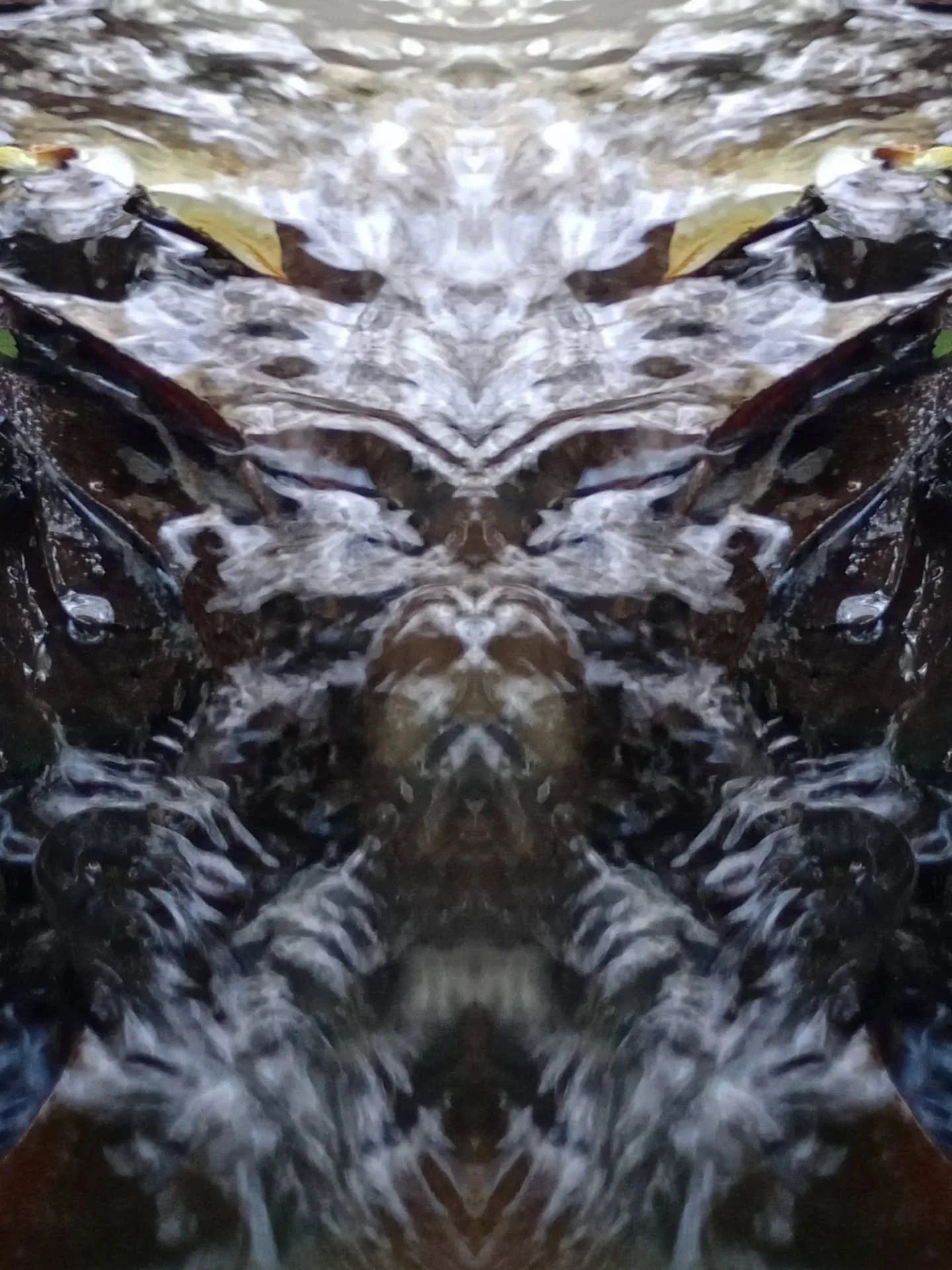 Spring water, mirrored