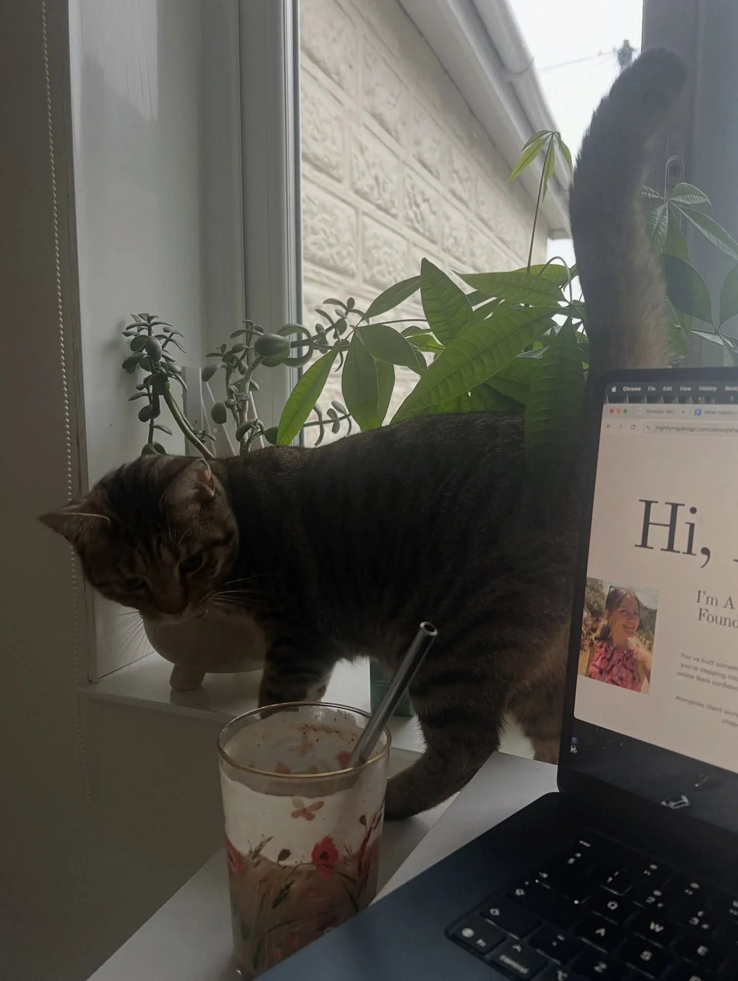 Supervisor on duty 🐾