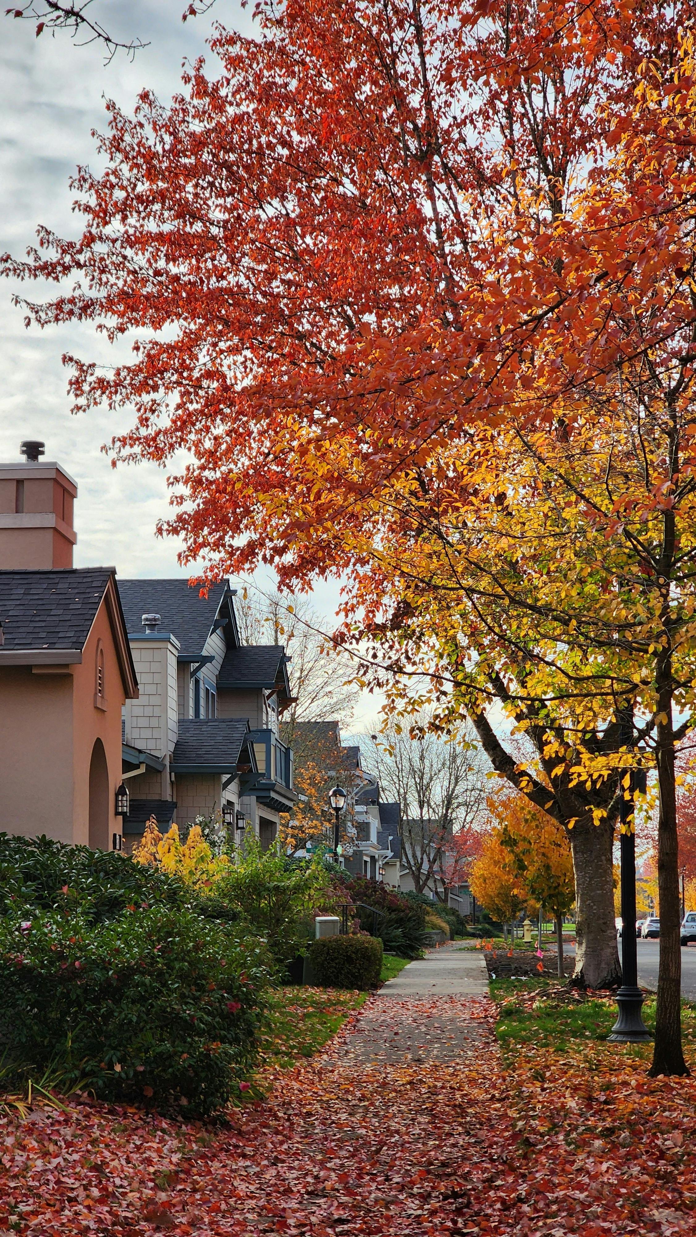 What Autumn Is Trying to Tell You