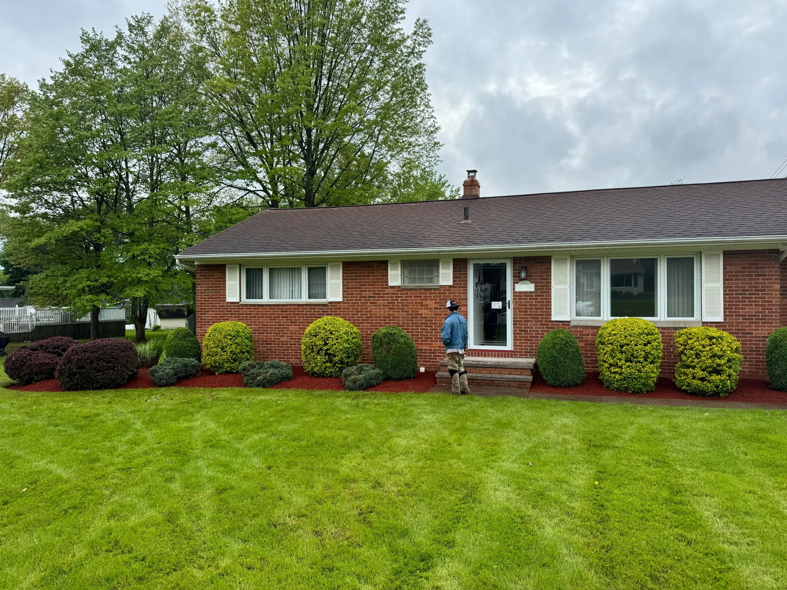Shrub Trimming and Removal