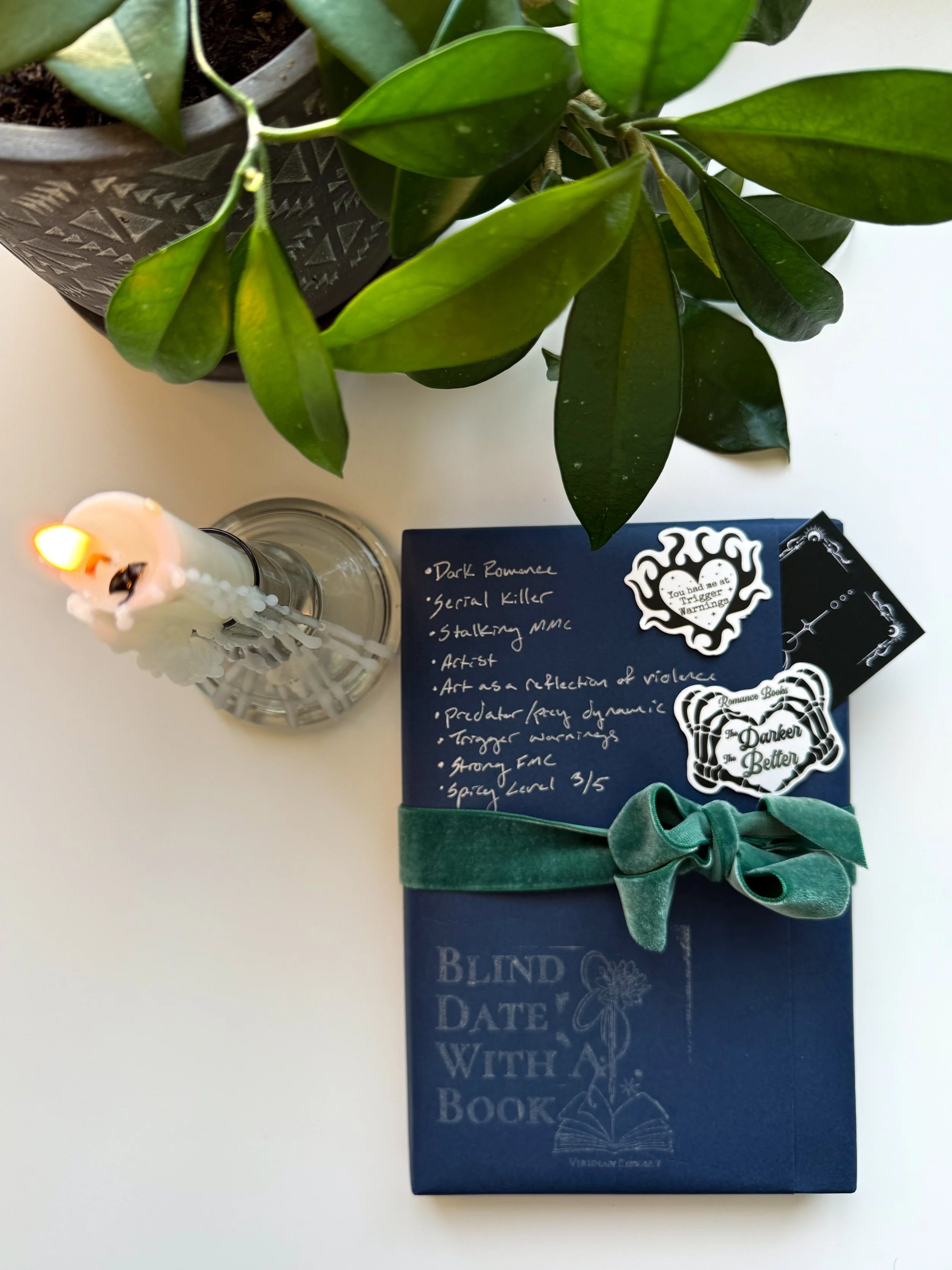Dark Romance - Basic Blind Date with A Book