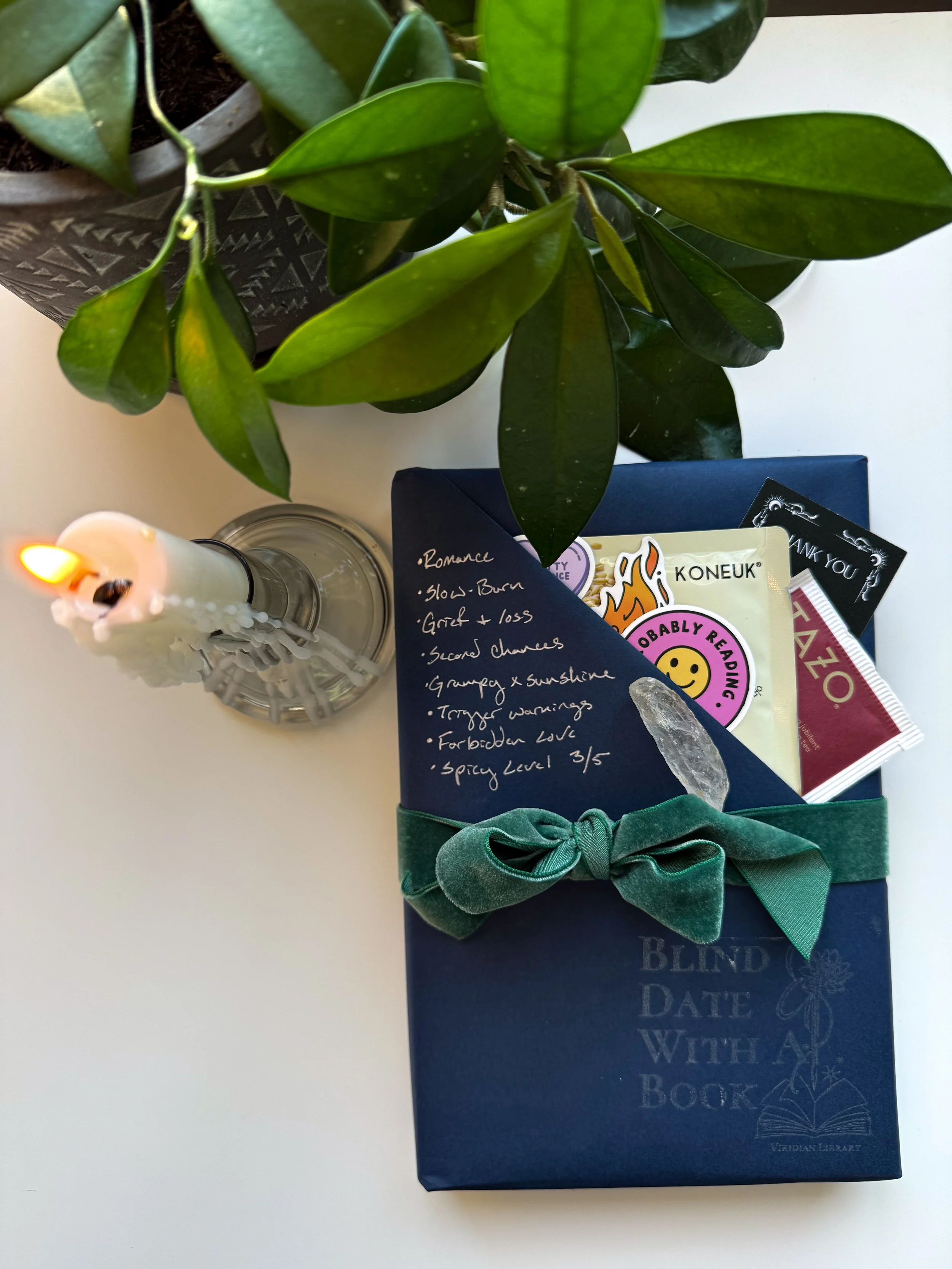 Romance - Deluxe Blind Date With A Book