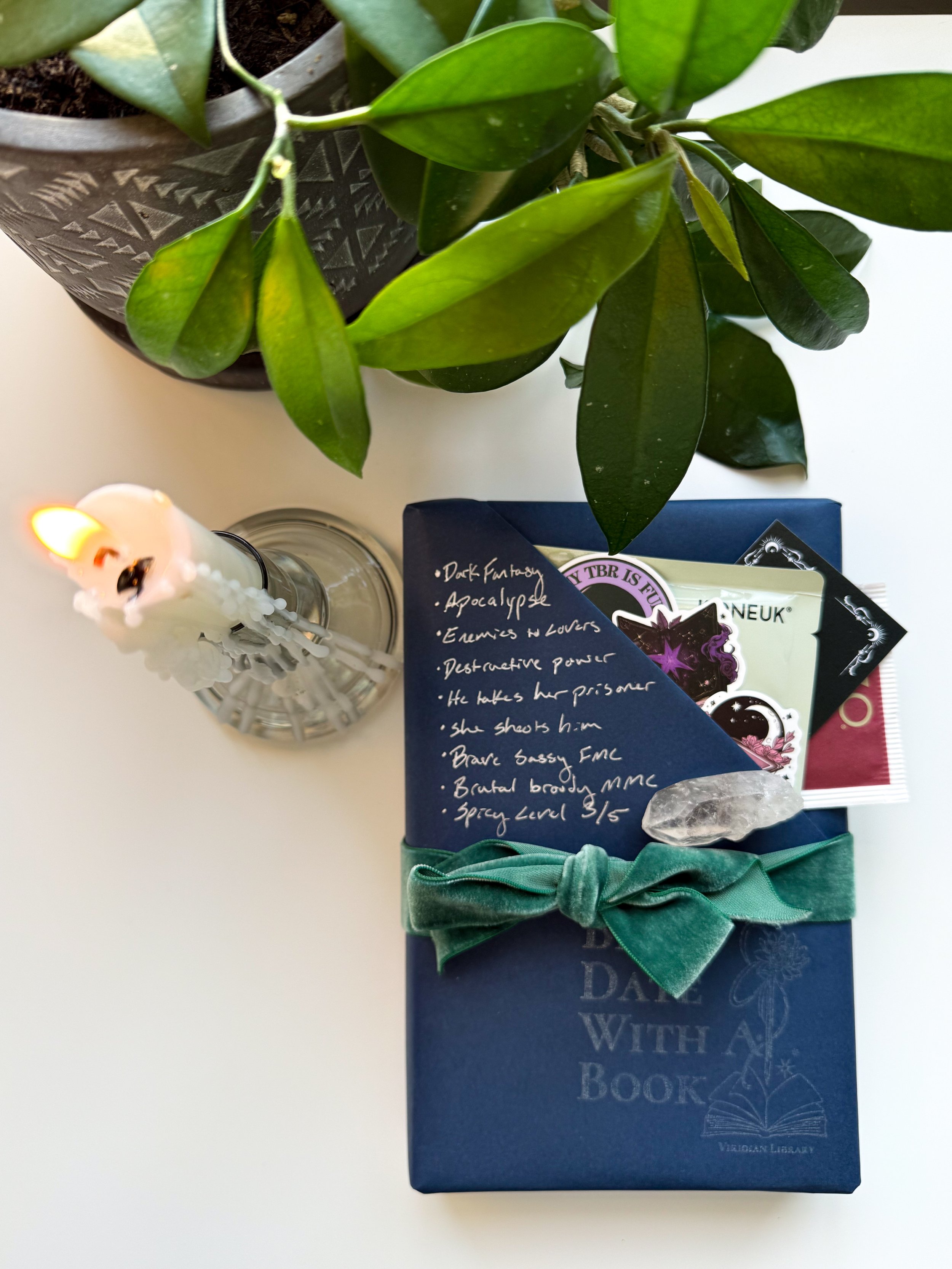 Fantasy - Deluxe Blind Date With A Book