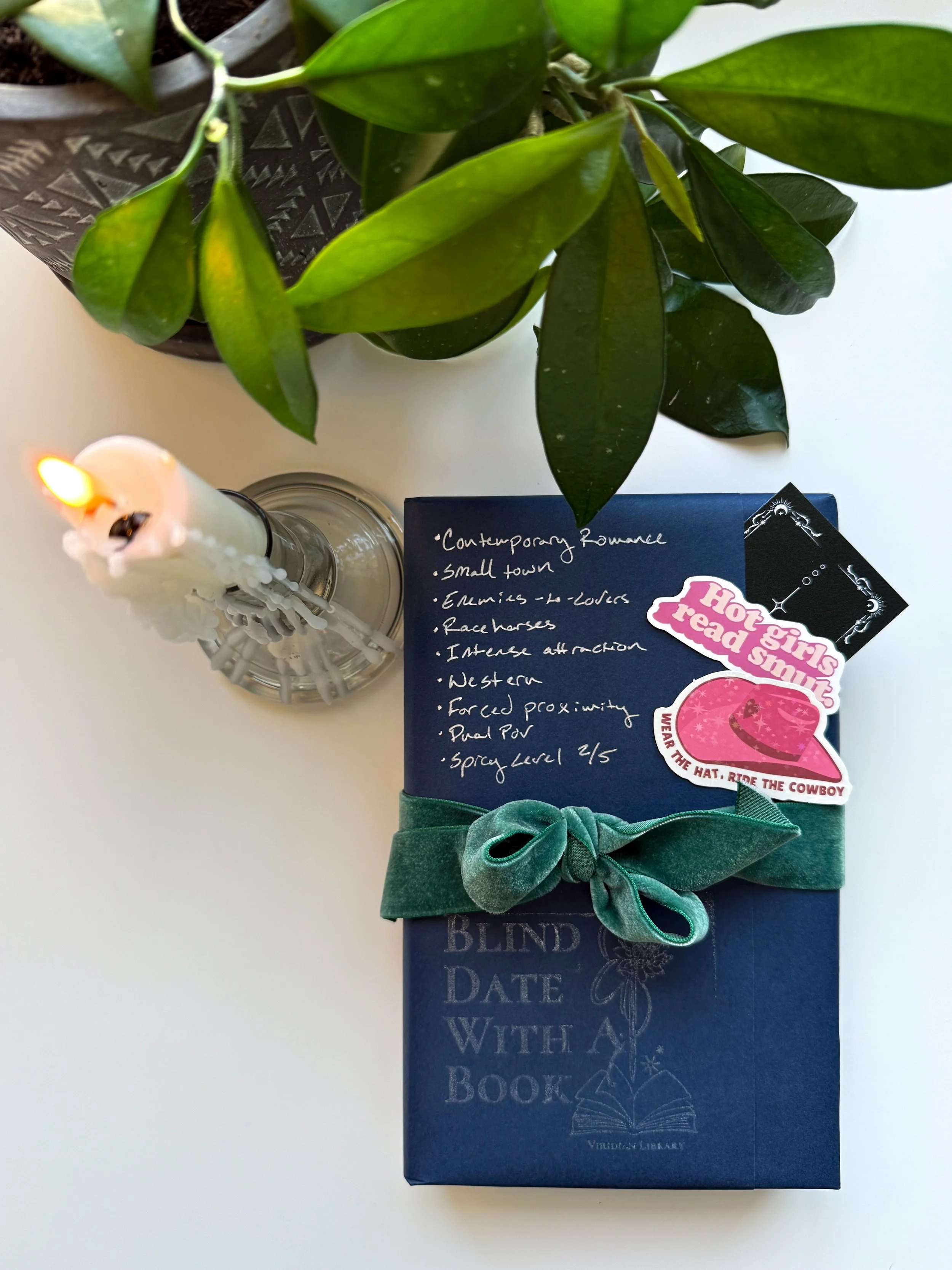 Romance - Basic Blind Date with A Book