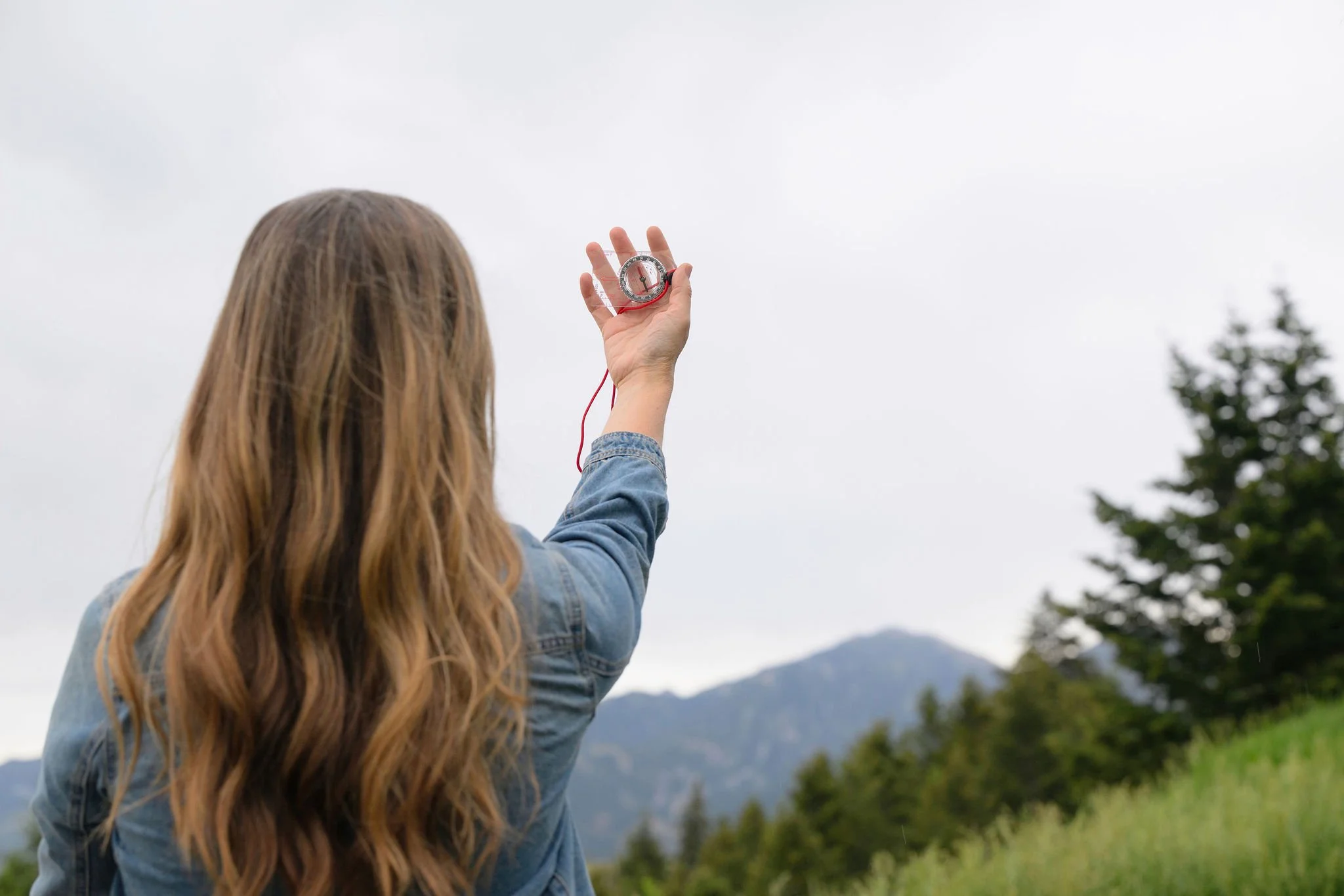 The meaning of true north