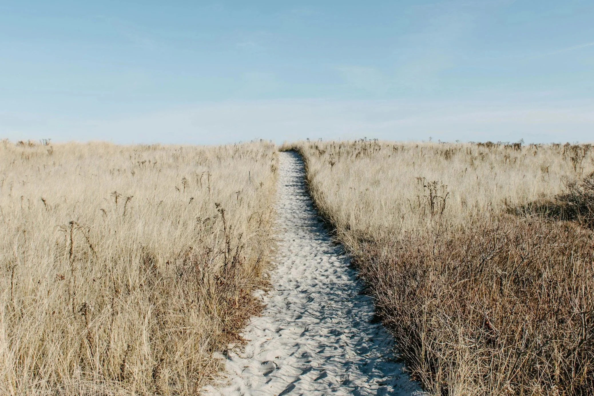 A narrow sandy path through a grassy dune field under a clear blue sky.