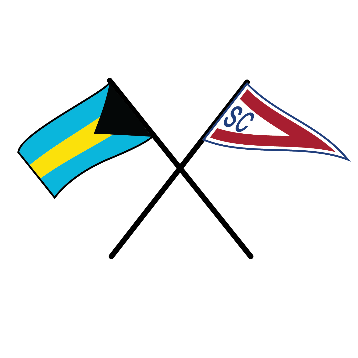 flag design