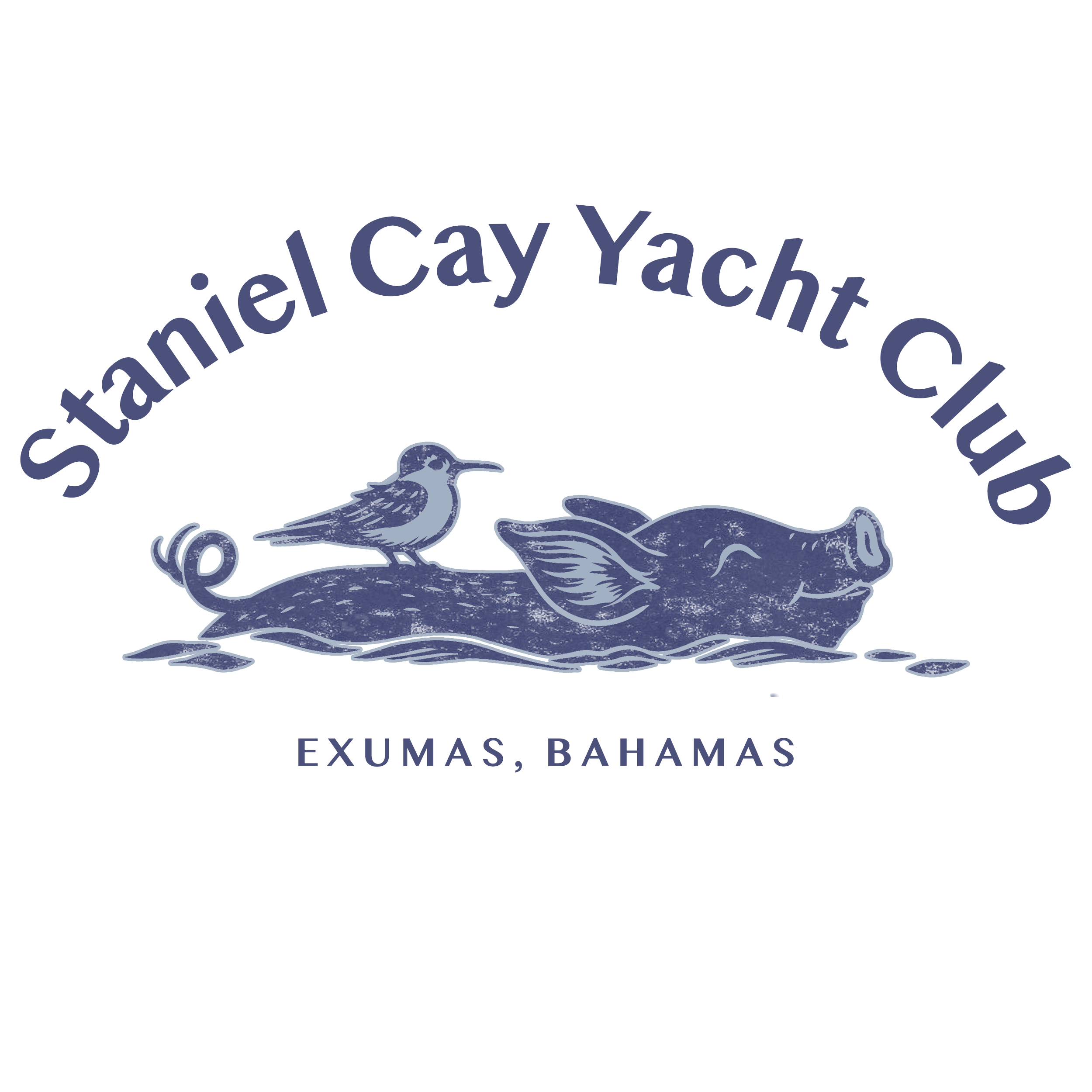 Shirt design