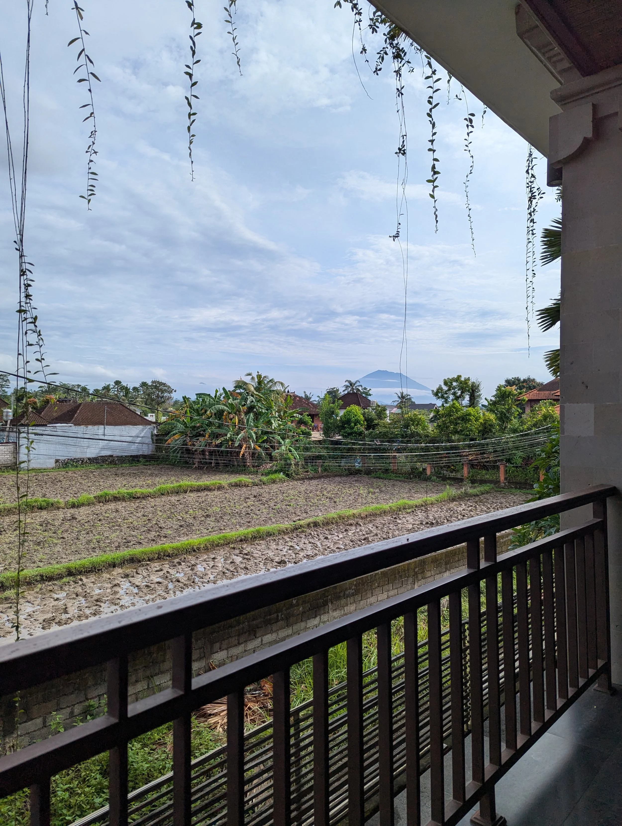 How to Gain Clarity and Control Over Your Business Finances