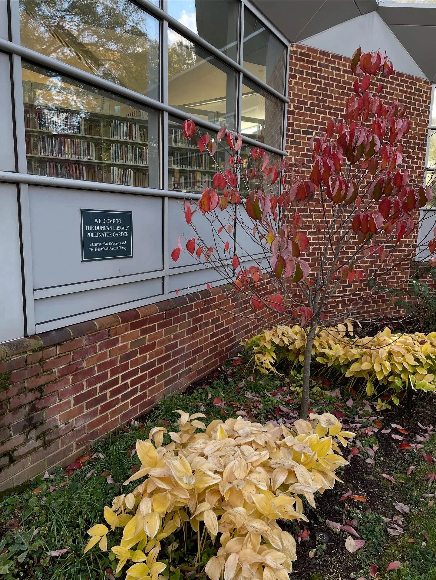 The Spitfires meet tomorrow at Duncan at 4 pm. This reading group for 1st-3rd grade is built around a collection of children&rsquo;s literature featuring strong, diverse, female protagonists. Supported by FODL, the group started in 2017, when 15 7-8 