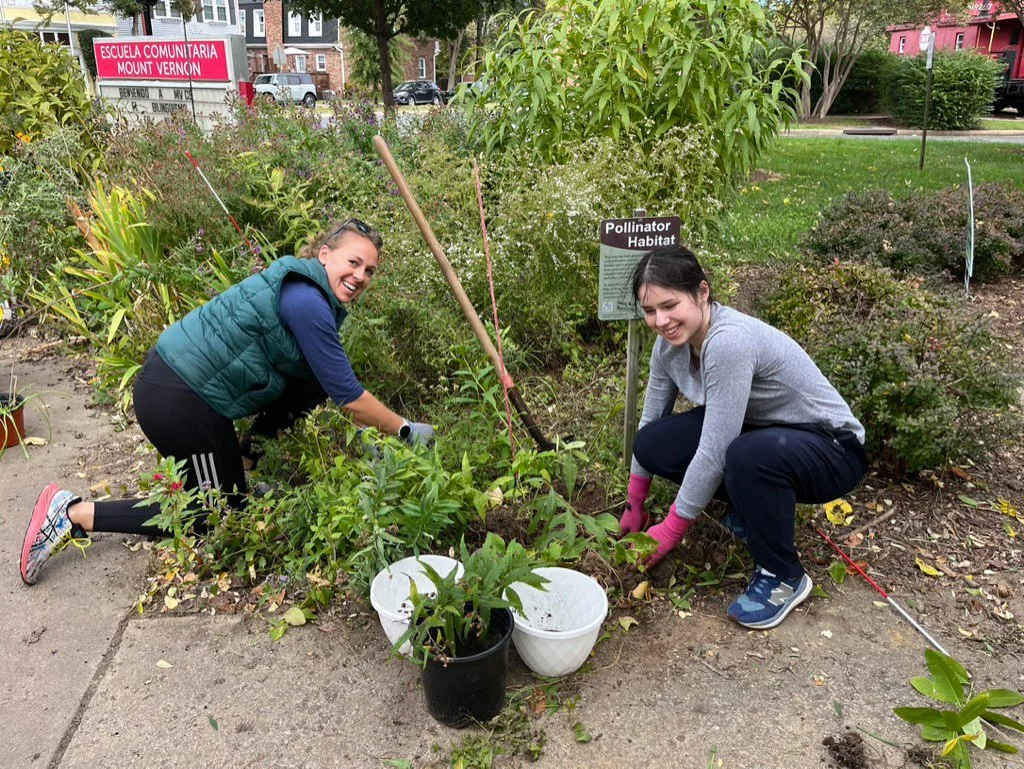 Two women planting in a garden bed labeled 'Pollinator Habitat' in the Duncan Library garden with houses and trees in the background. They are smiling and wearing gardening gloves.