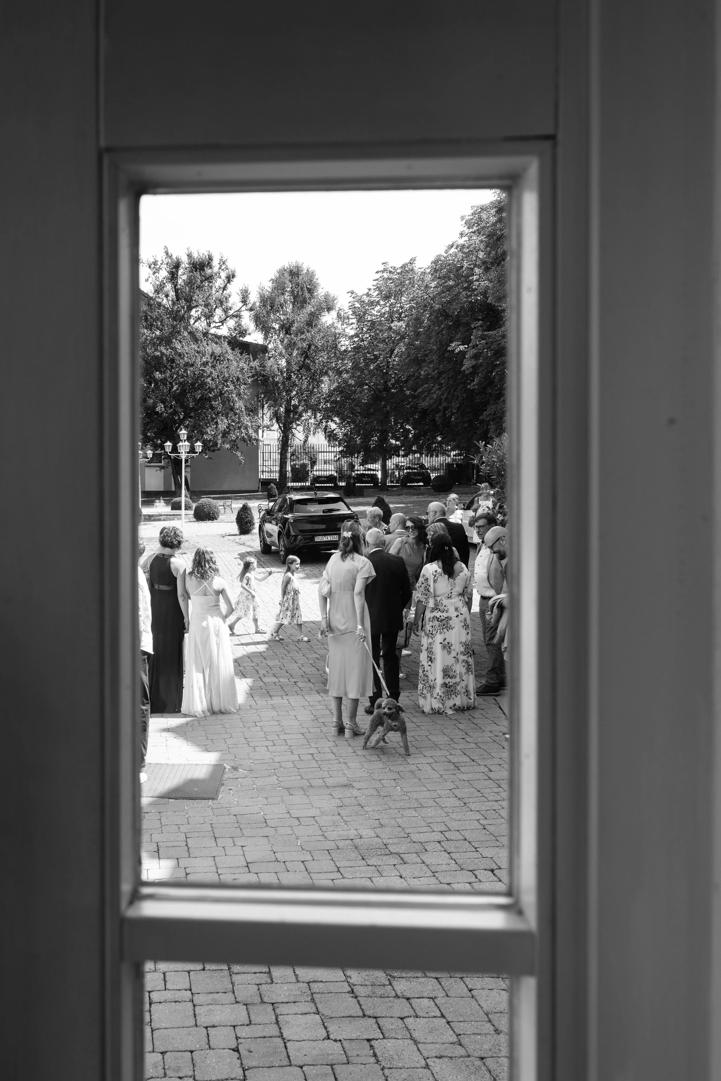 Scene of people gathered outdoors seen through a window, with trees, cars, and a fountain in the background.