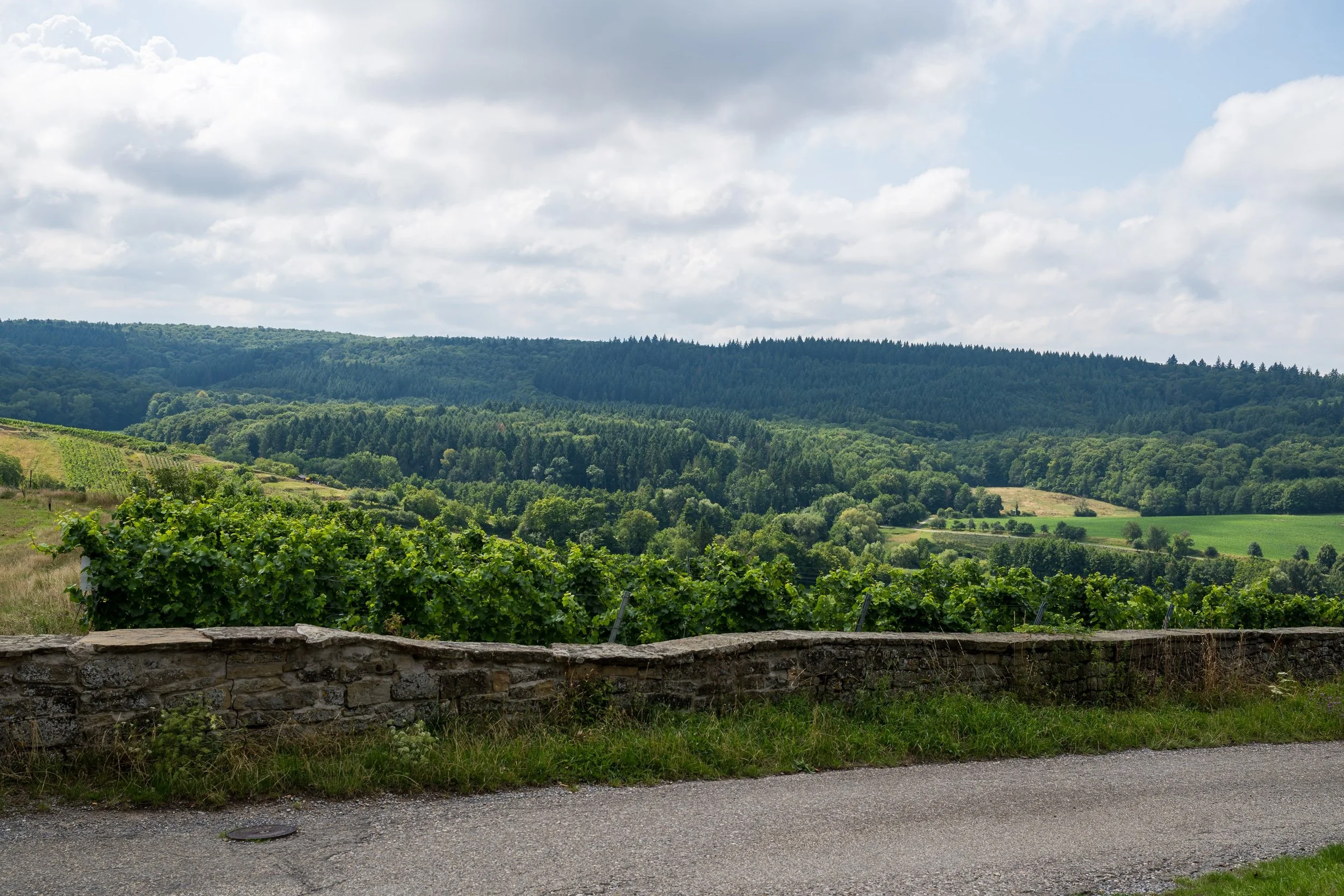 Aussicht Burg Ravensburg in Sulzfeld / Karlsruhe
