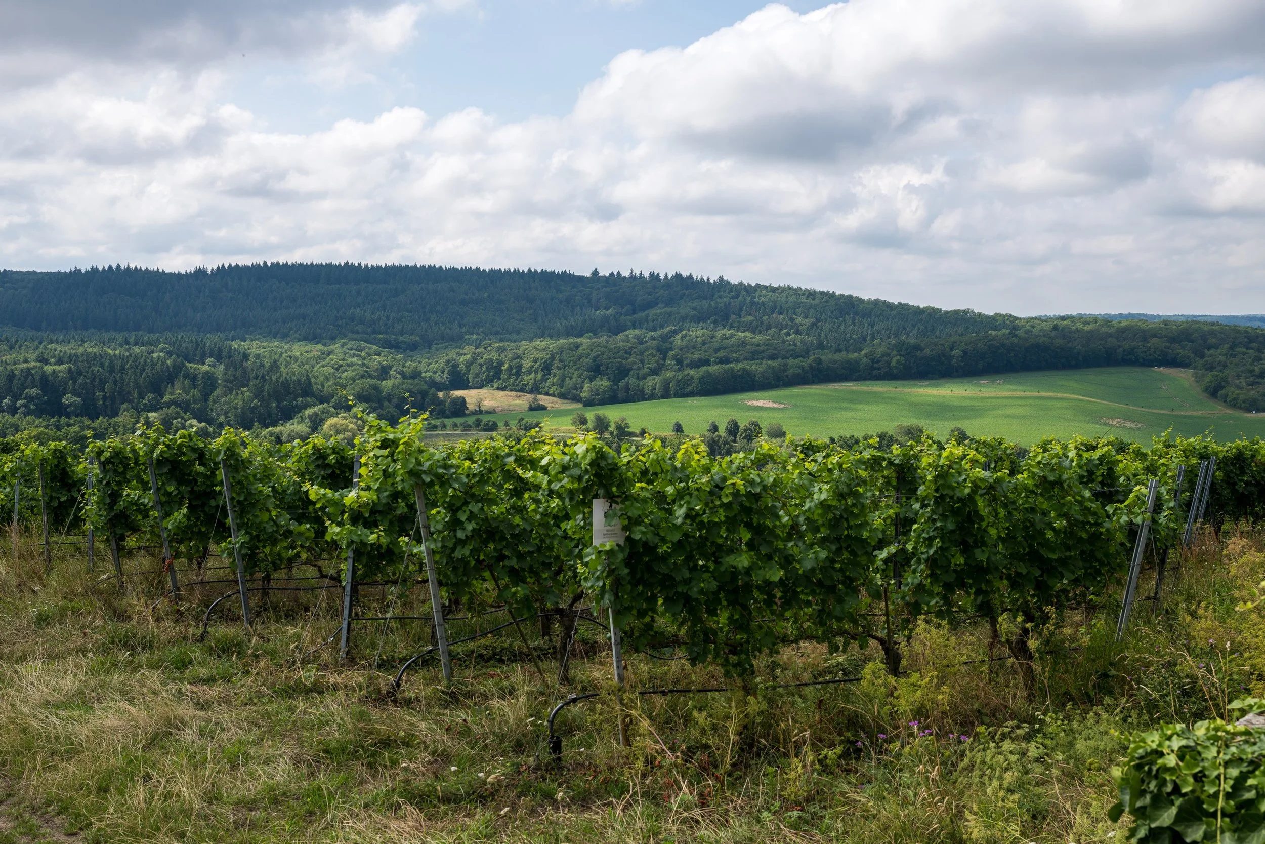 Hochzeitslocation Burg Ravensburg
