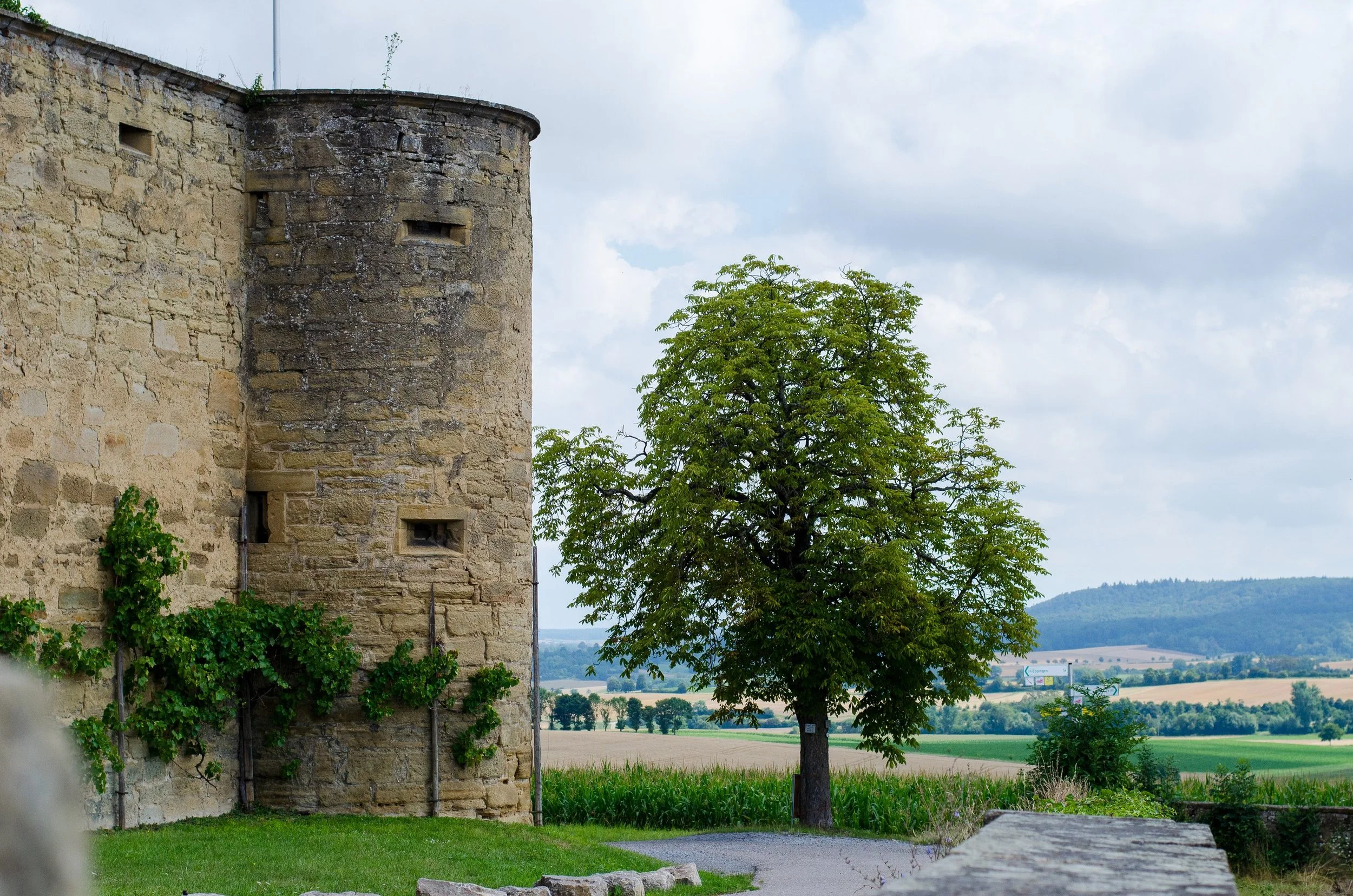 Burg Sulzfeld Kreis Karlsruhe