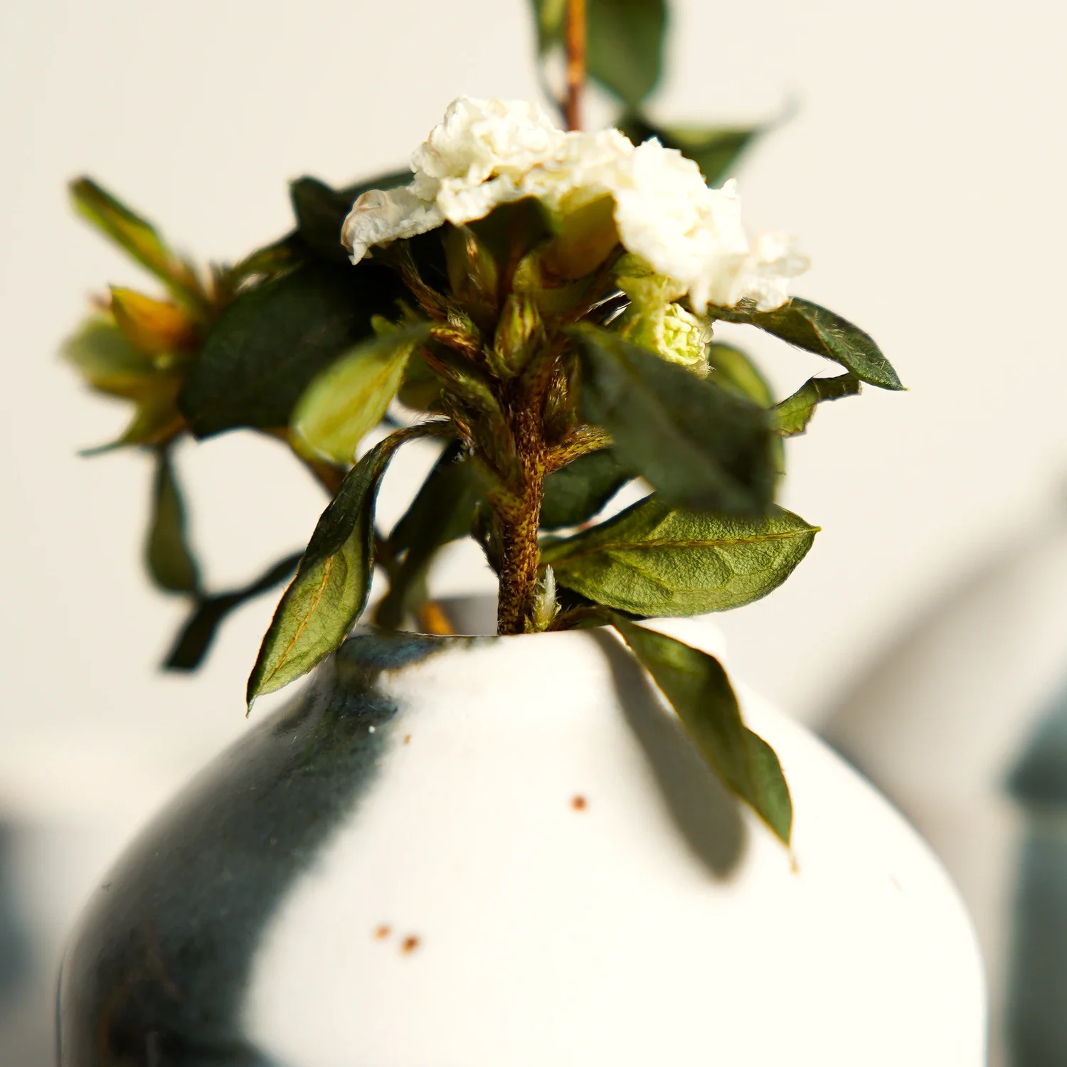 image 61.webp