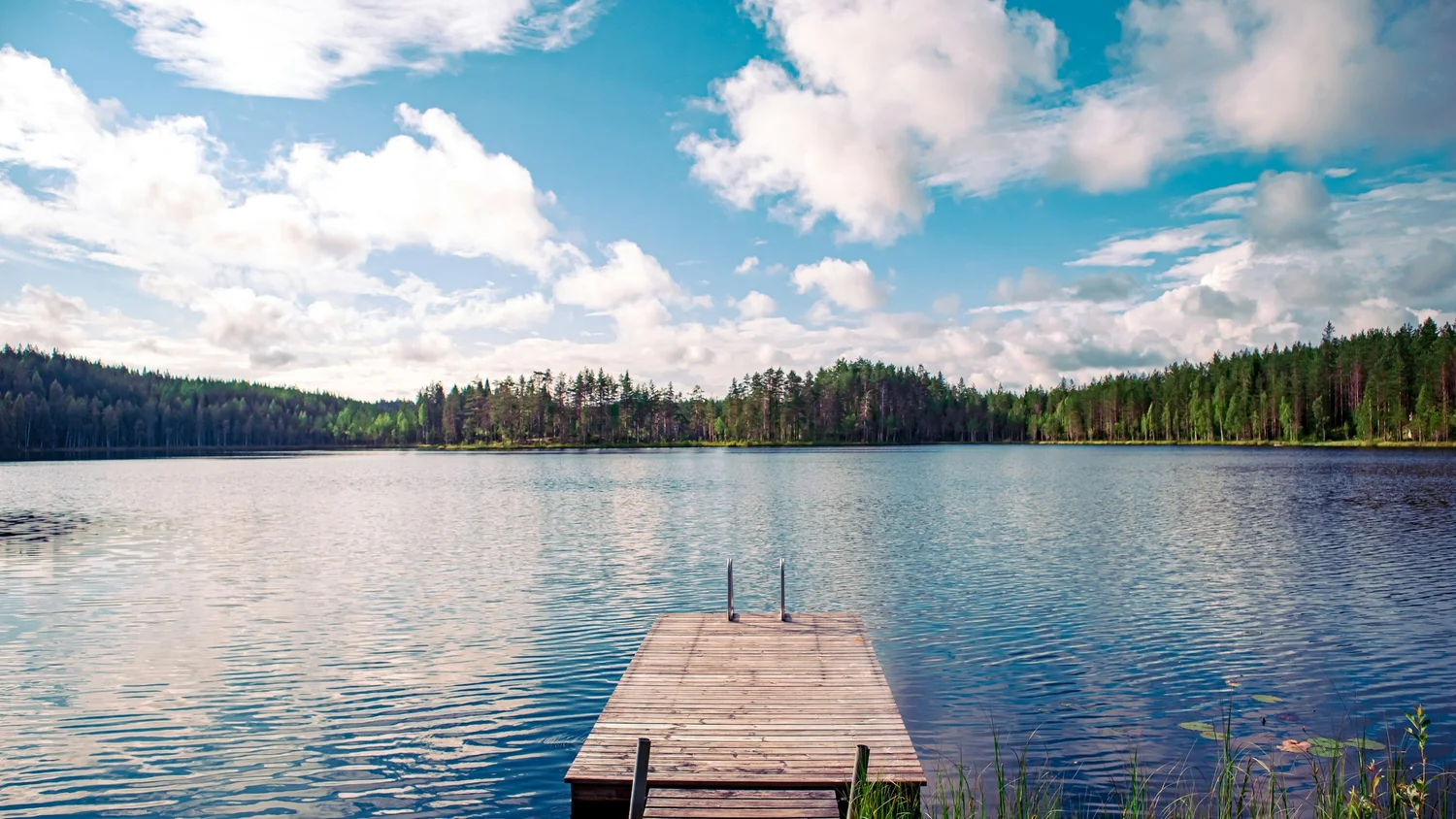 Well-maintained lake with clear water as part of an annual lake management program