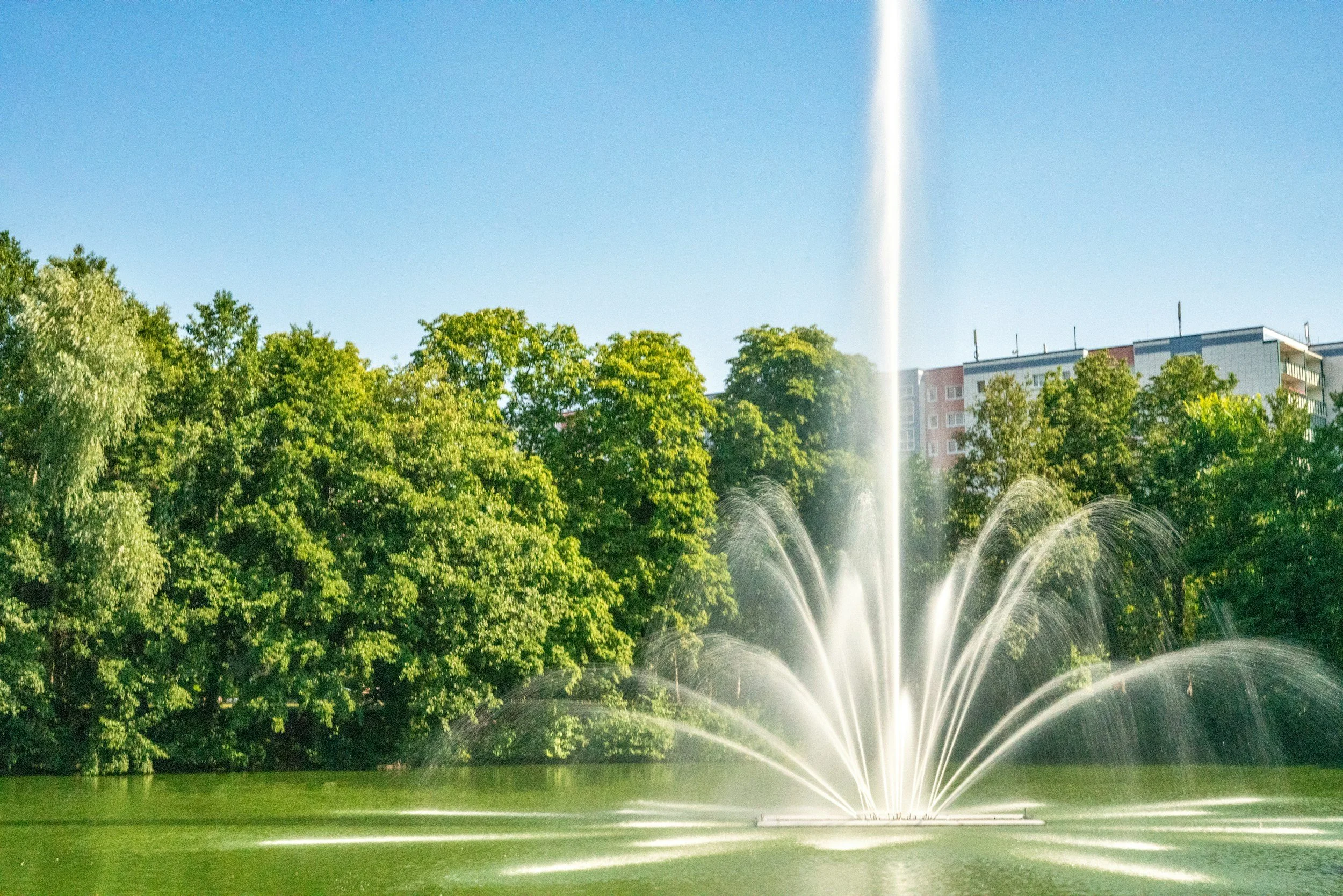 Pond management services for business parks