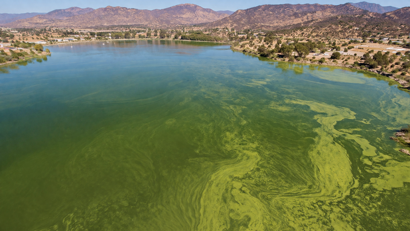California Algae Bloom
