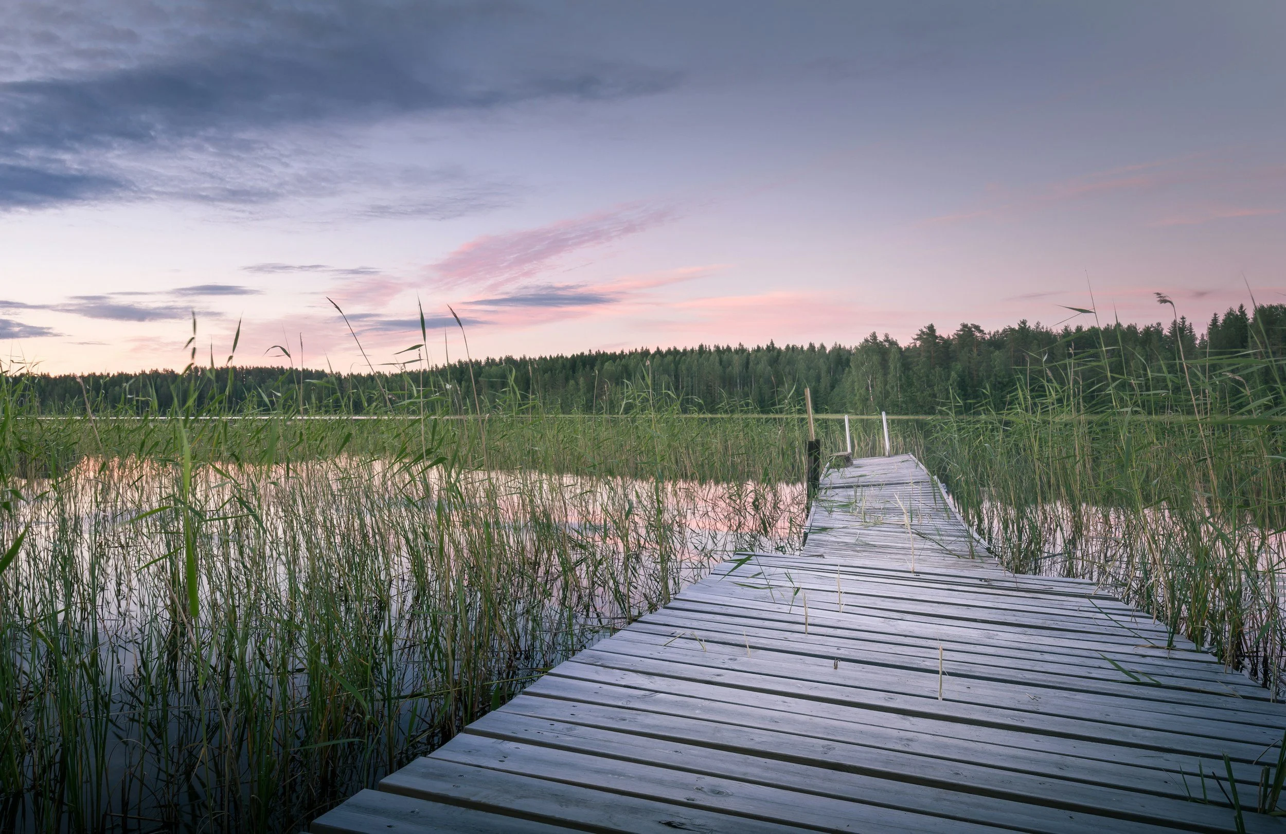 How to harvest weeds out of lake effectively