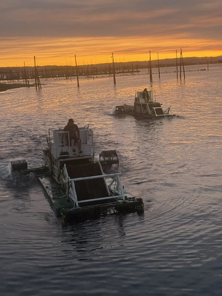 Mechanical aquatic weed harvesting for lake cleaning