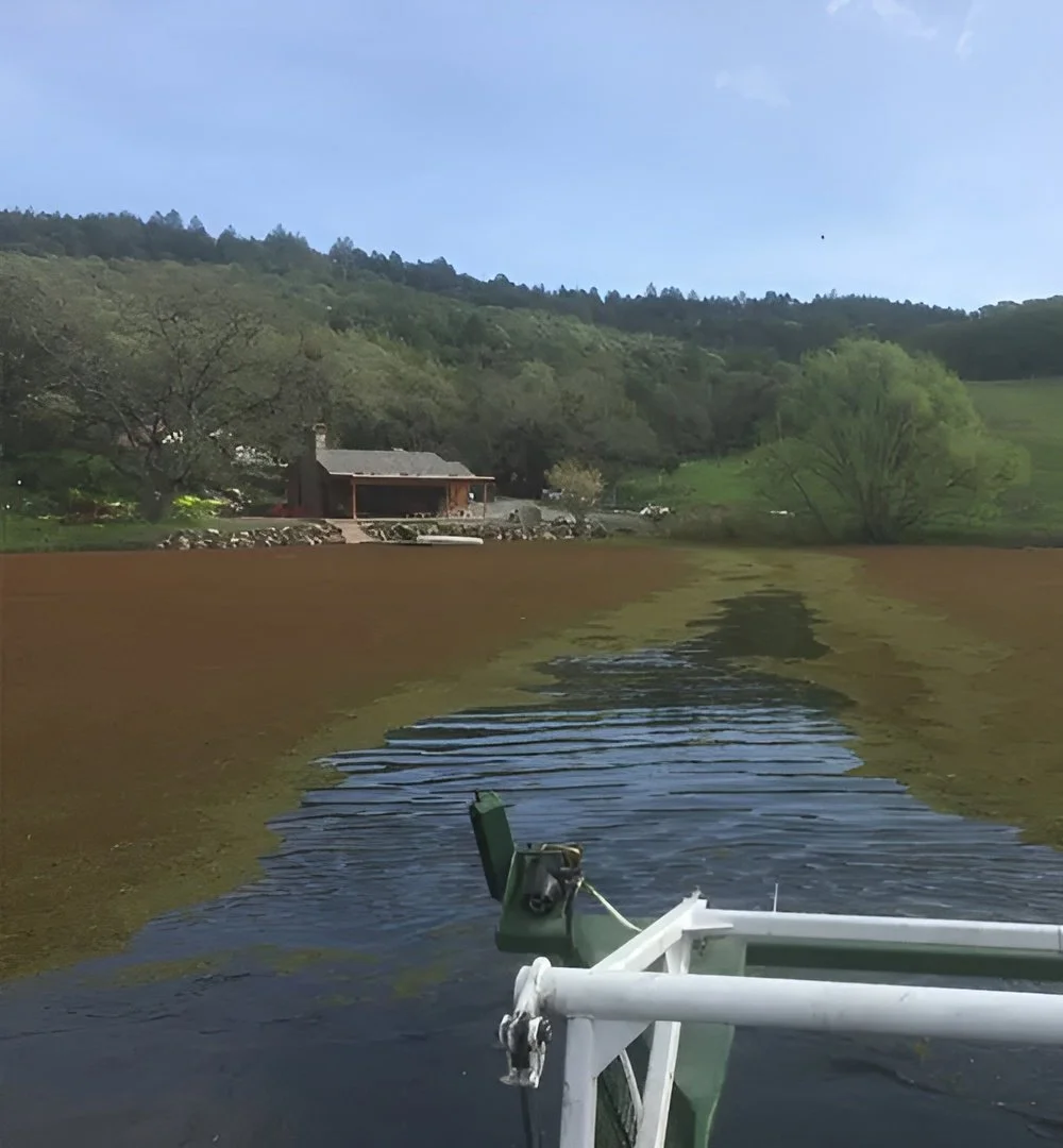 Aquatic weed harvester performing mechanical algae removal from lake surface — nutrient export and water clarity restoration