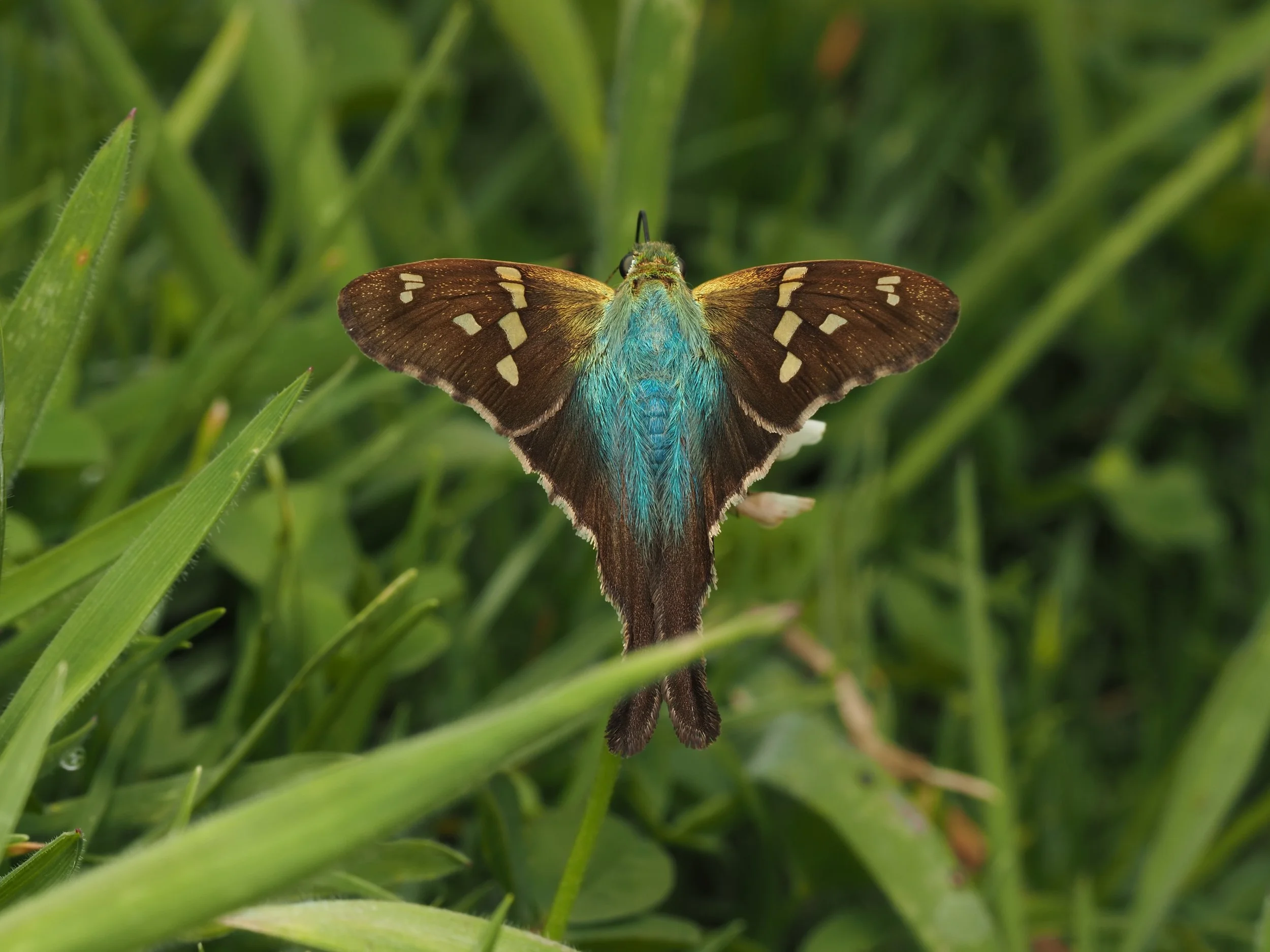 PA228610.jpg