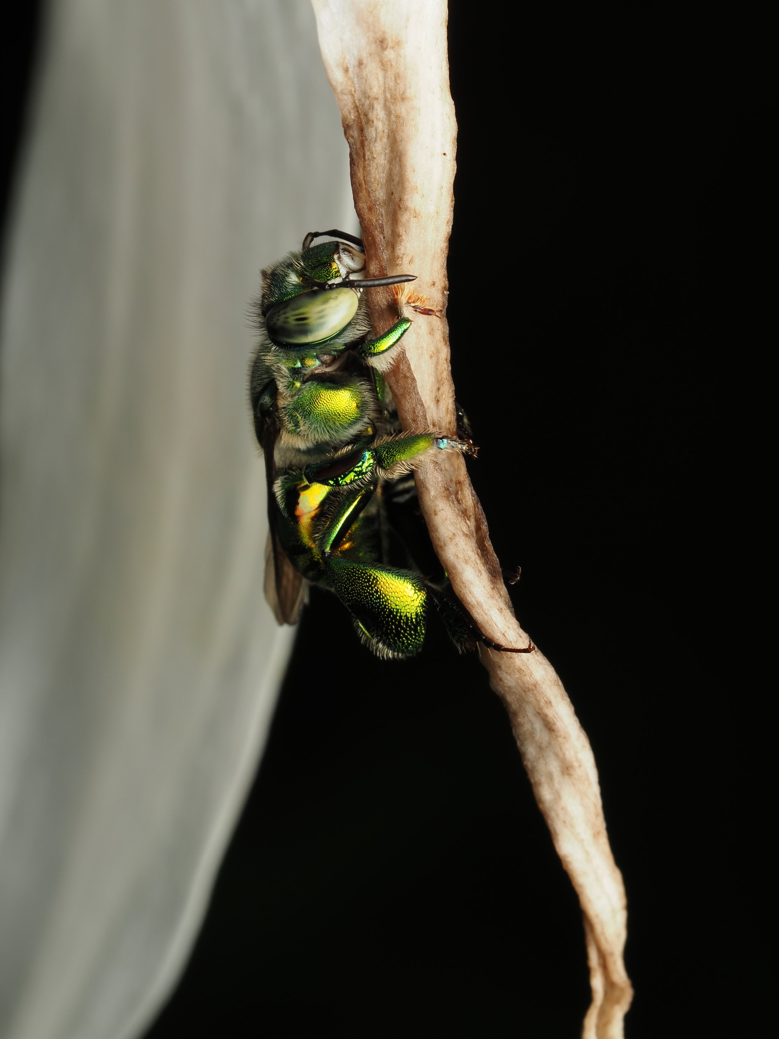 PA259325.jpg