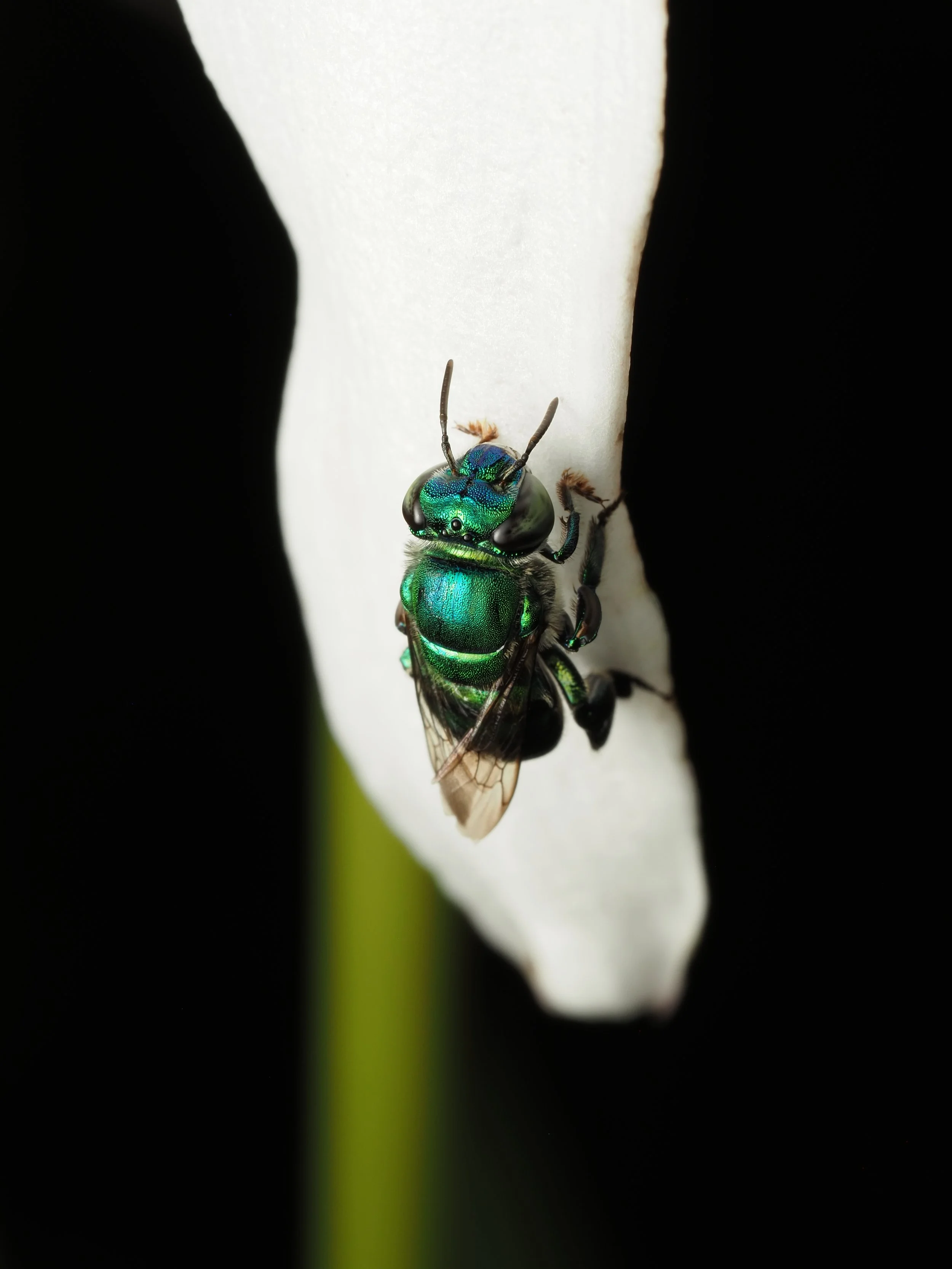 PA259319.jpg