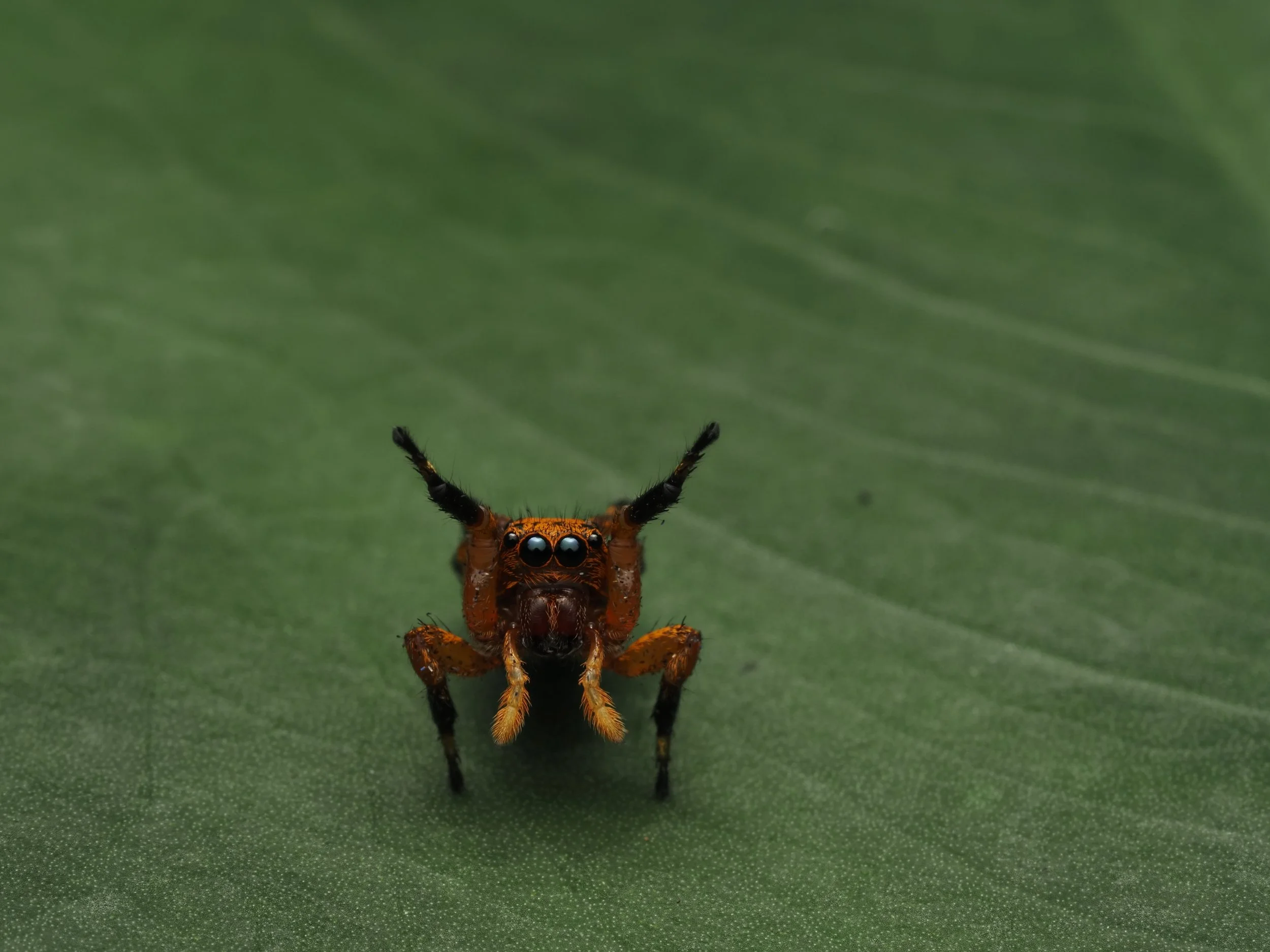 PA259220.jpg
