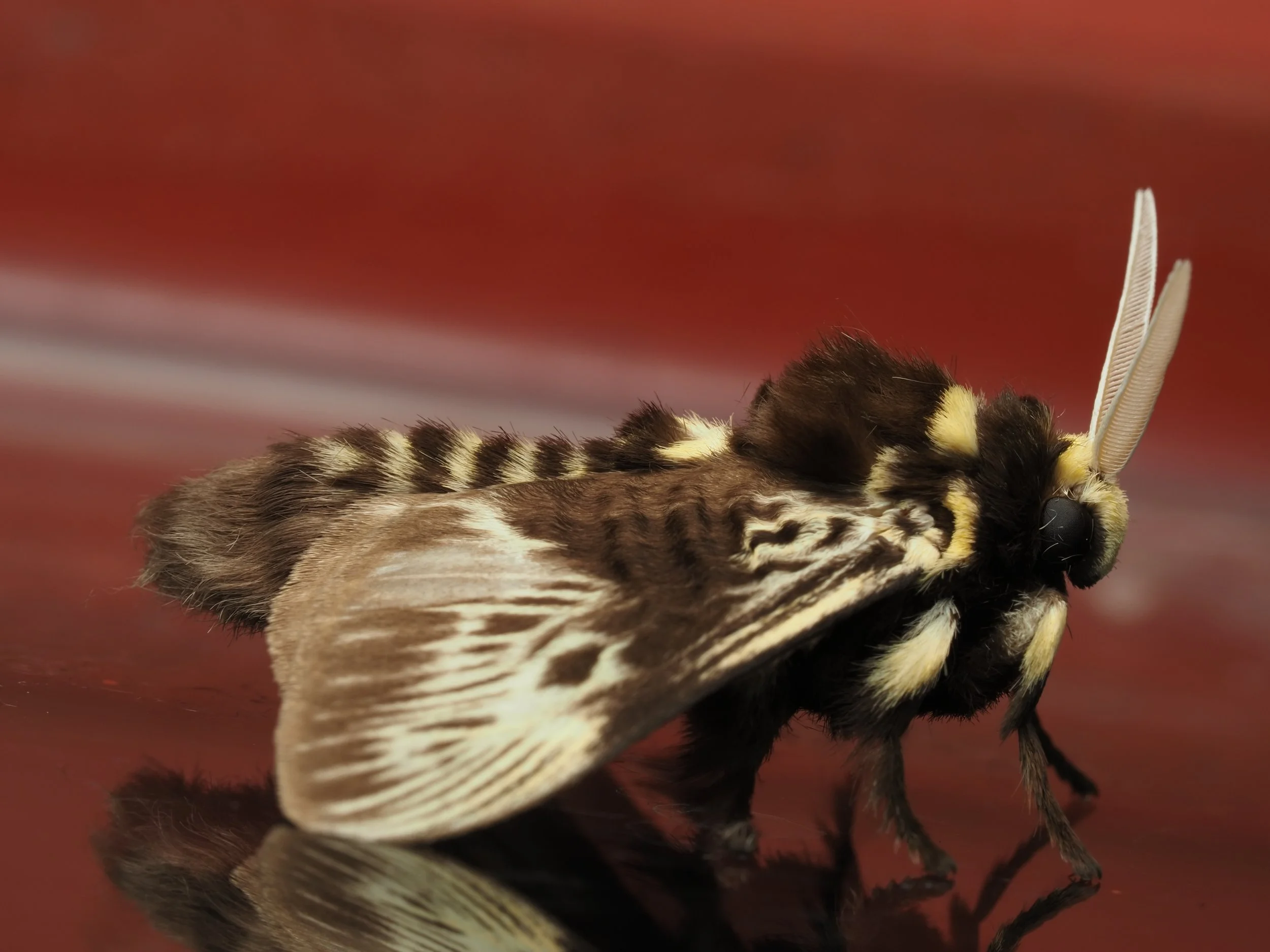 PA228838.jpg