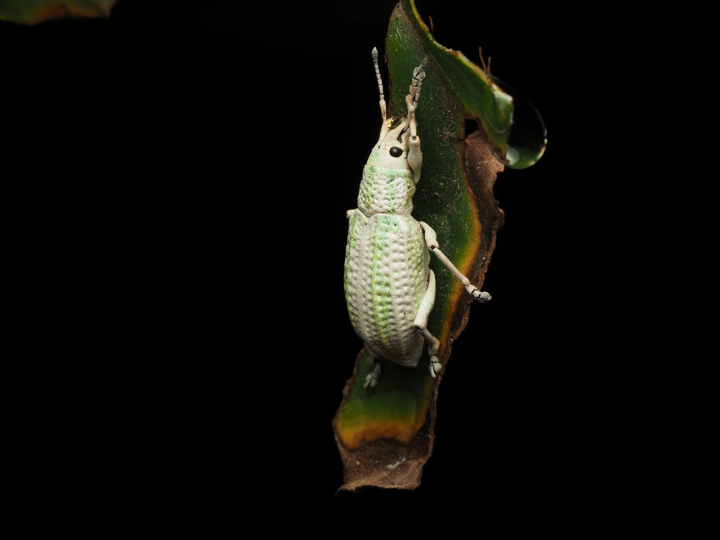 PA228819.jpg