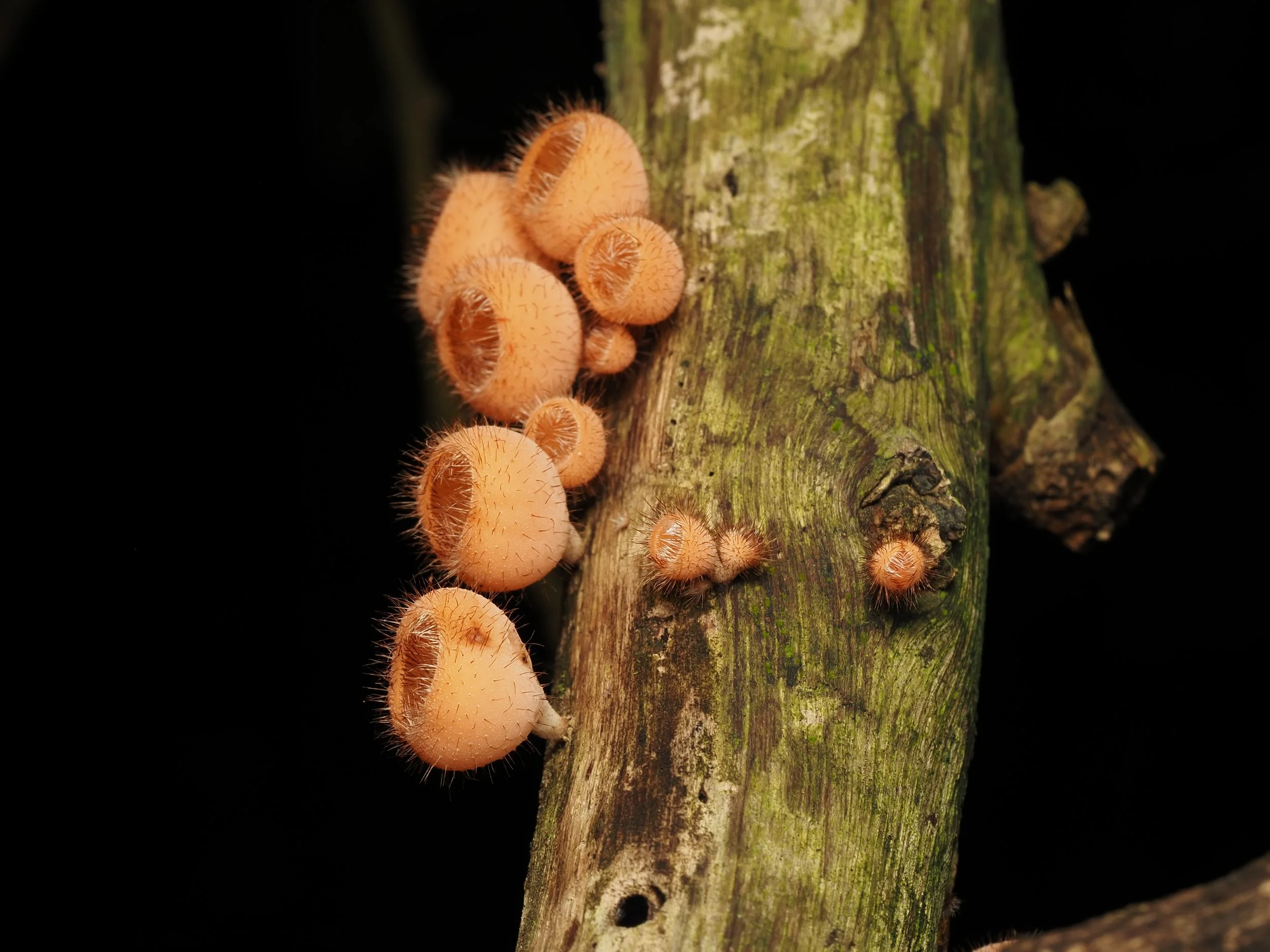 PA259343.jpg