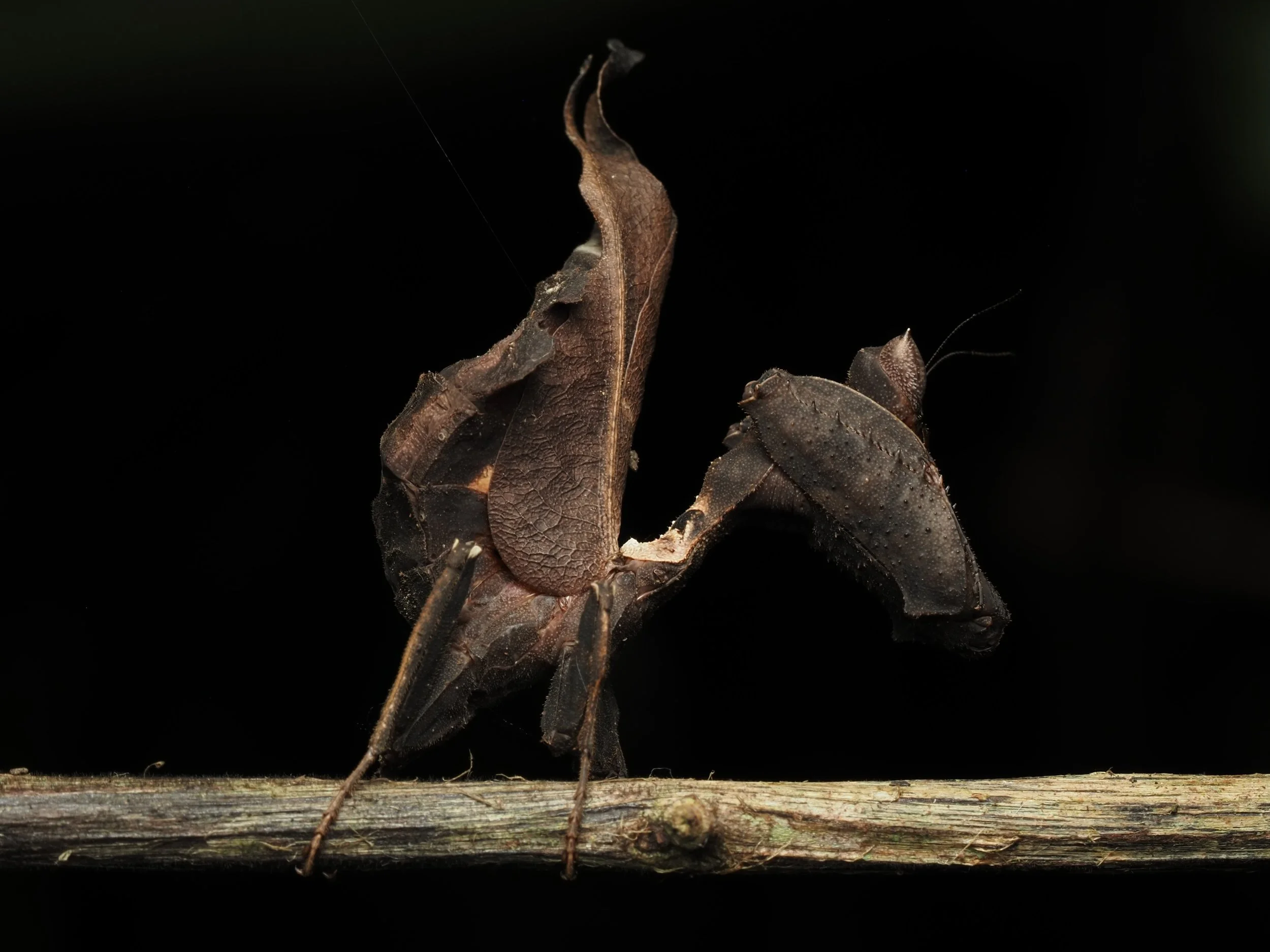 PA259117.jpg