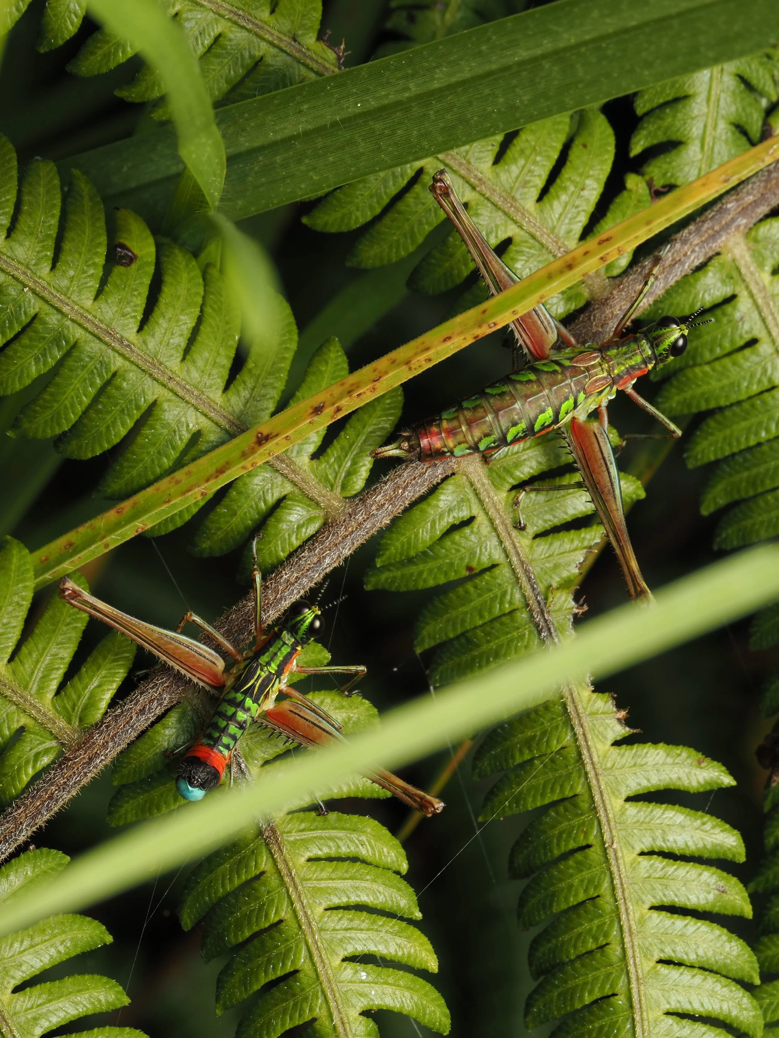PA228568.jpg